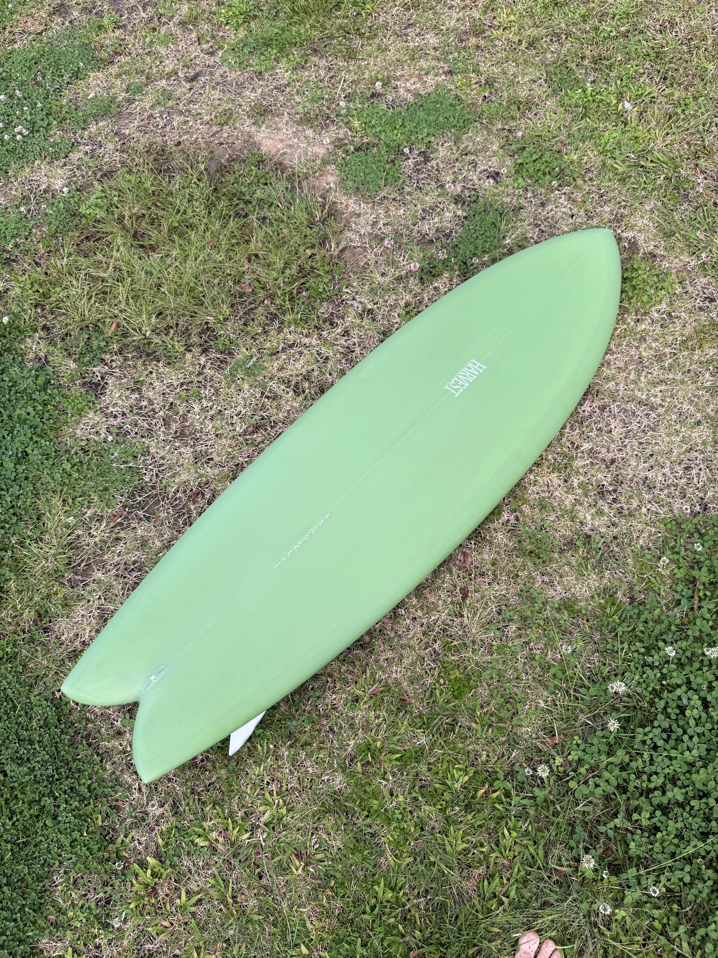 image17.jpeg
