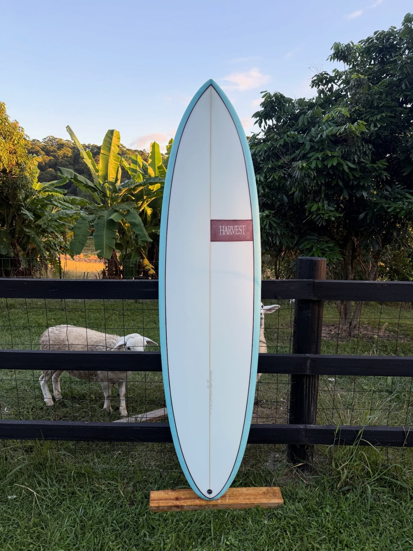 6&rsquo;8&rdquo; x 20 3/8&rdquo; x 2 1/2&rdquo;

Single to double with 4 channel twin with single fin box