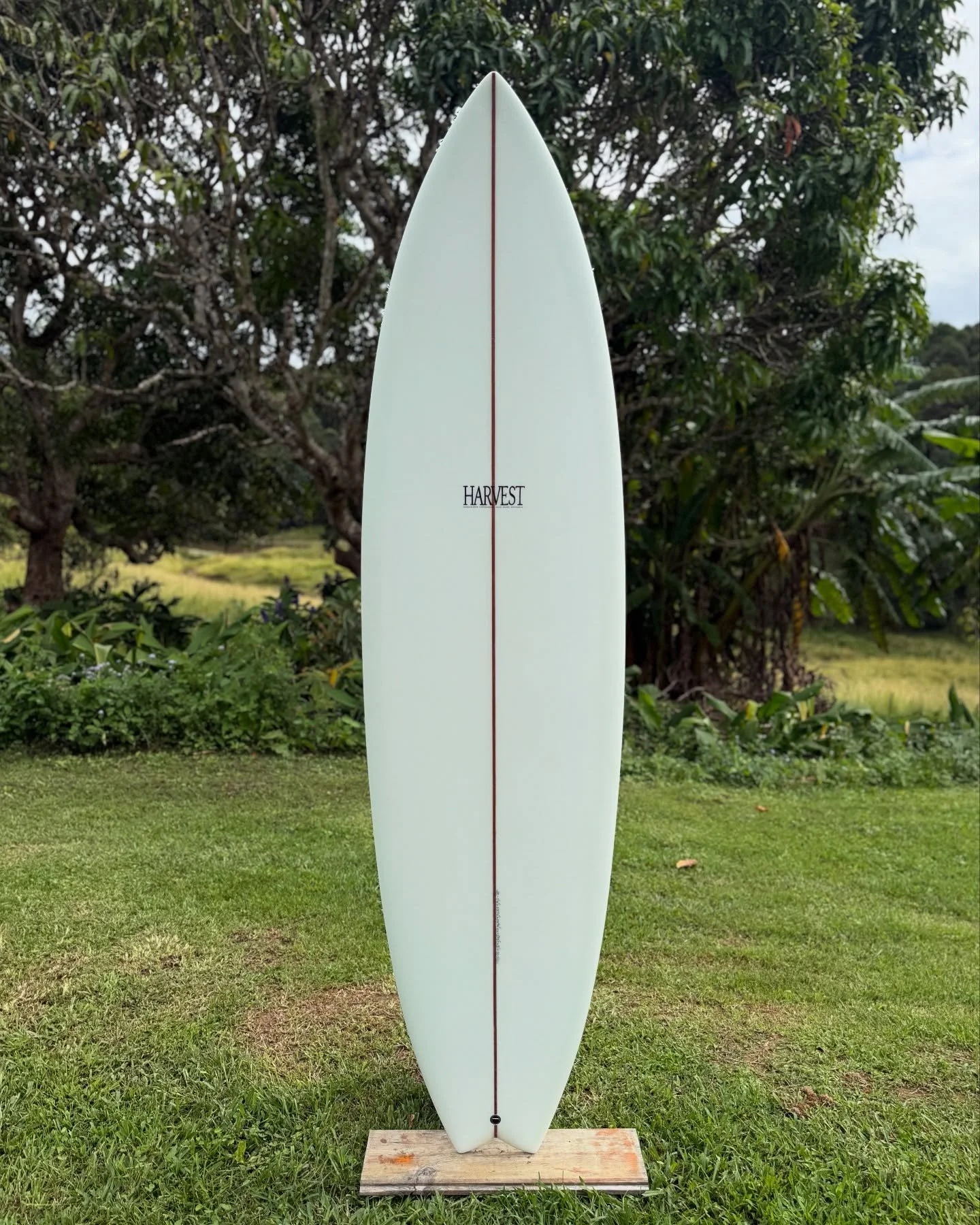 Couple new stock boards available on the website 
7&rsquo;2&rdquo;, 7&rsquo;4&rdquo; 

Description (from Jack)

This board&rsquo;s been a personal favorite of mine for a long time. I&rsquo;ve been shaping and riding versions of it for over two decade