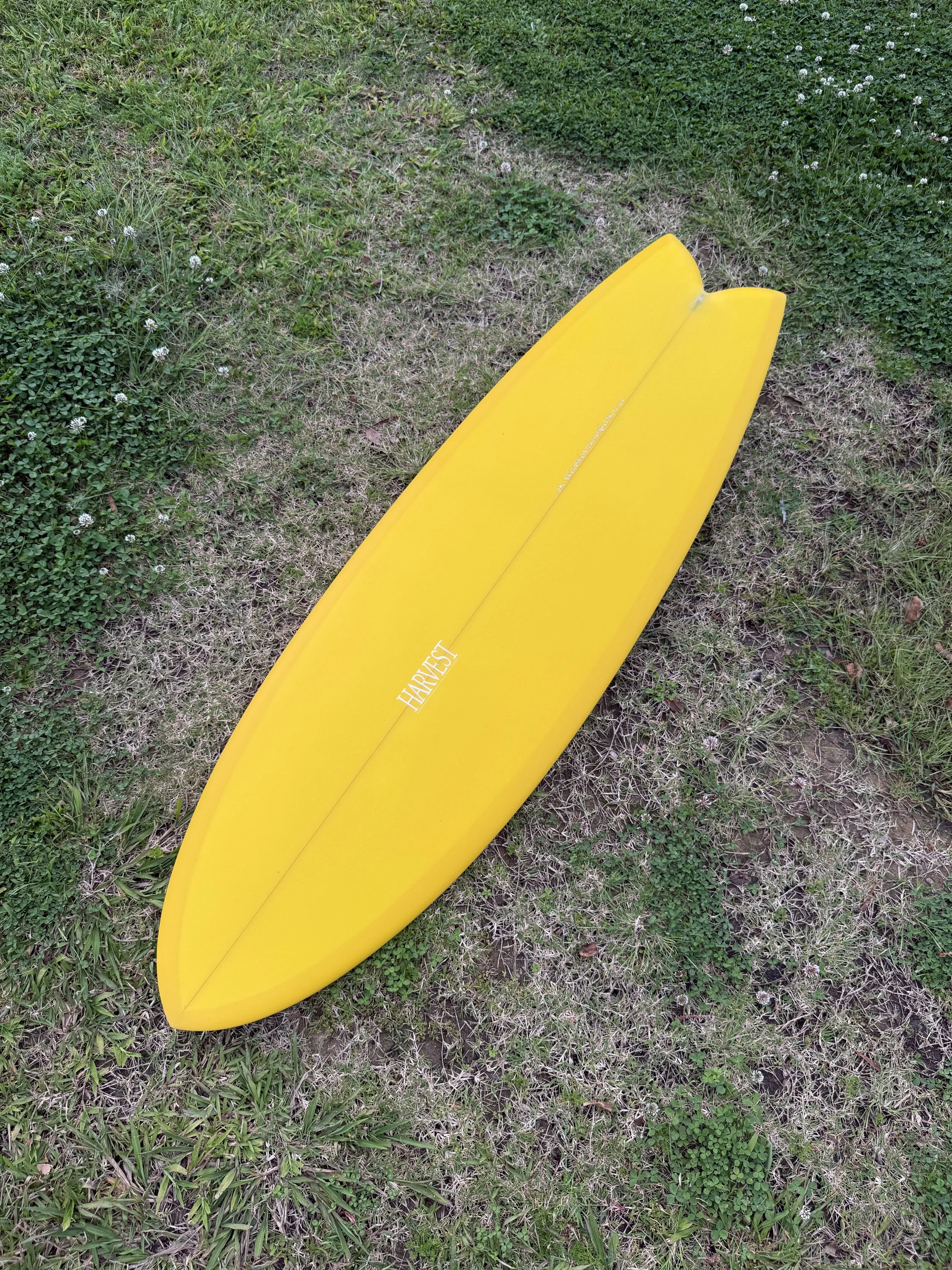 image12.jpeg