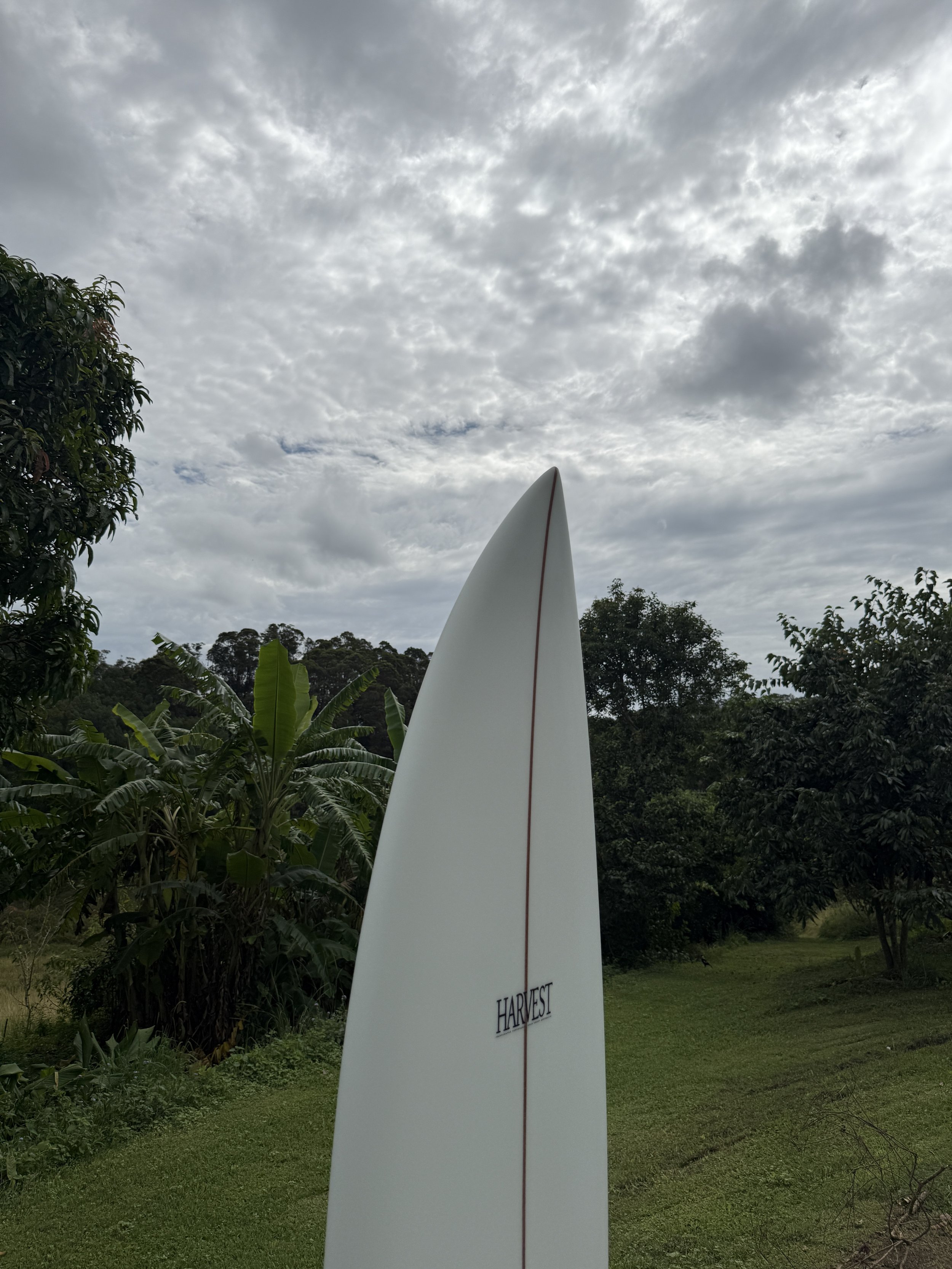 IMG_7011.jpeg