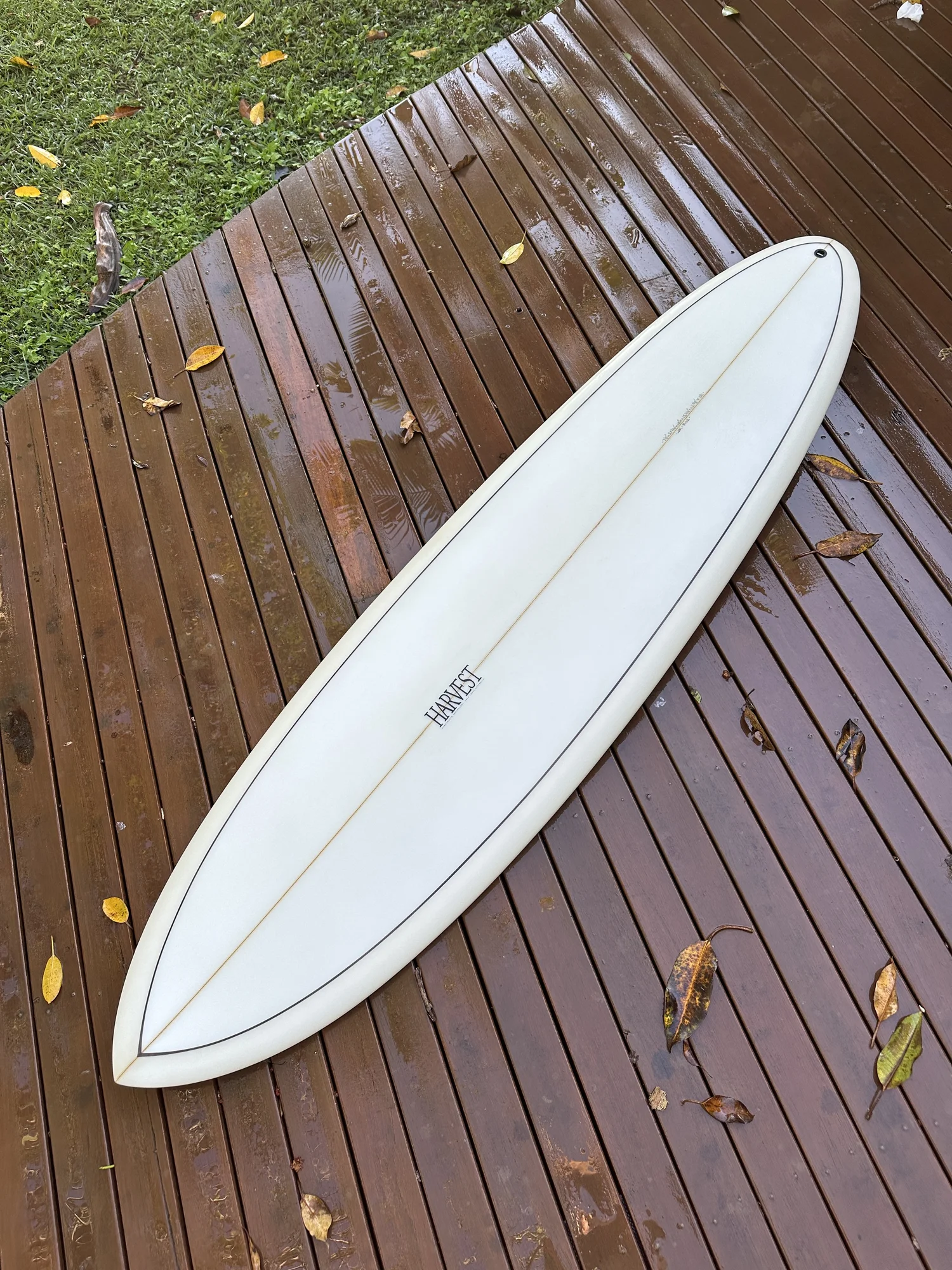 Wanderer — Harvest Surfboards