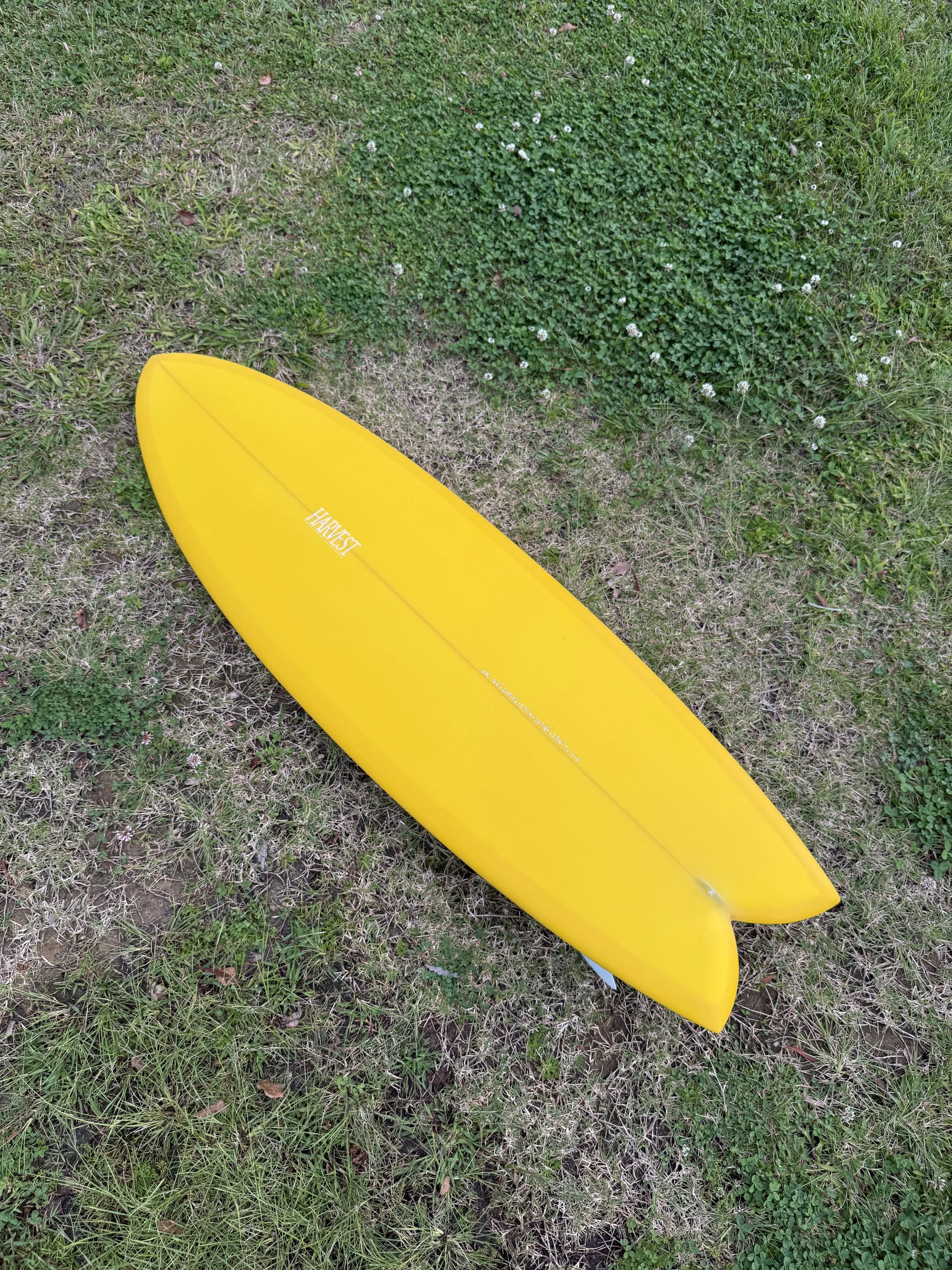image13.jpeg