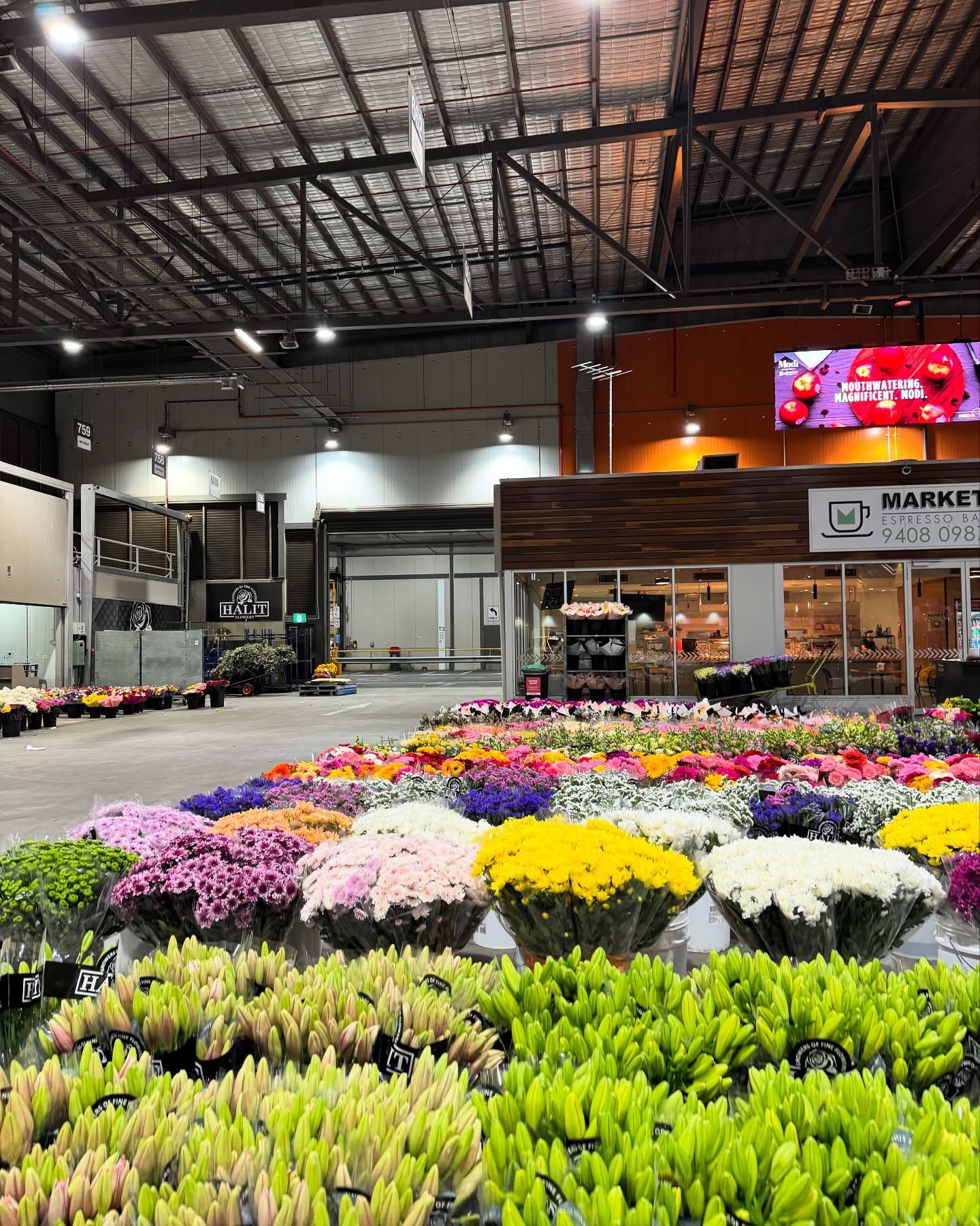 Just a few of our favourite flowers that are available on our market stand:

🧡Dahlias
🧡Stocks
🧡Snapdragons
🧡Lisianthus
🧡Tulips
🧡Celosia
🧡Teddy Bear Sunflowers
🧡Our custom Rose Bouquets

To enquire on how to get set up at the flower market, se