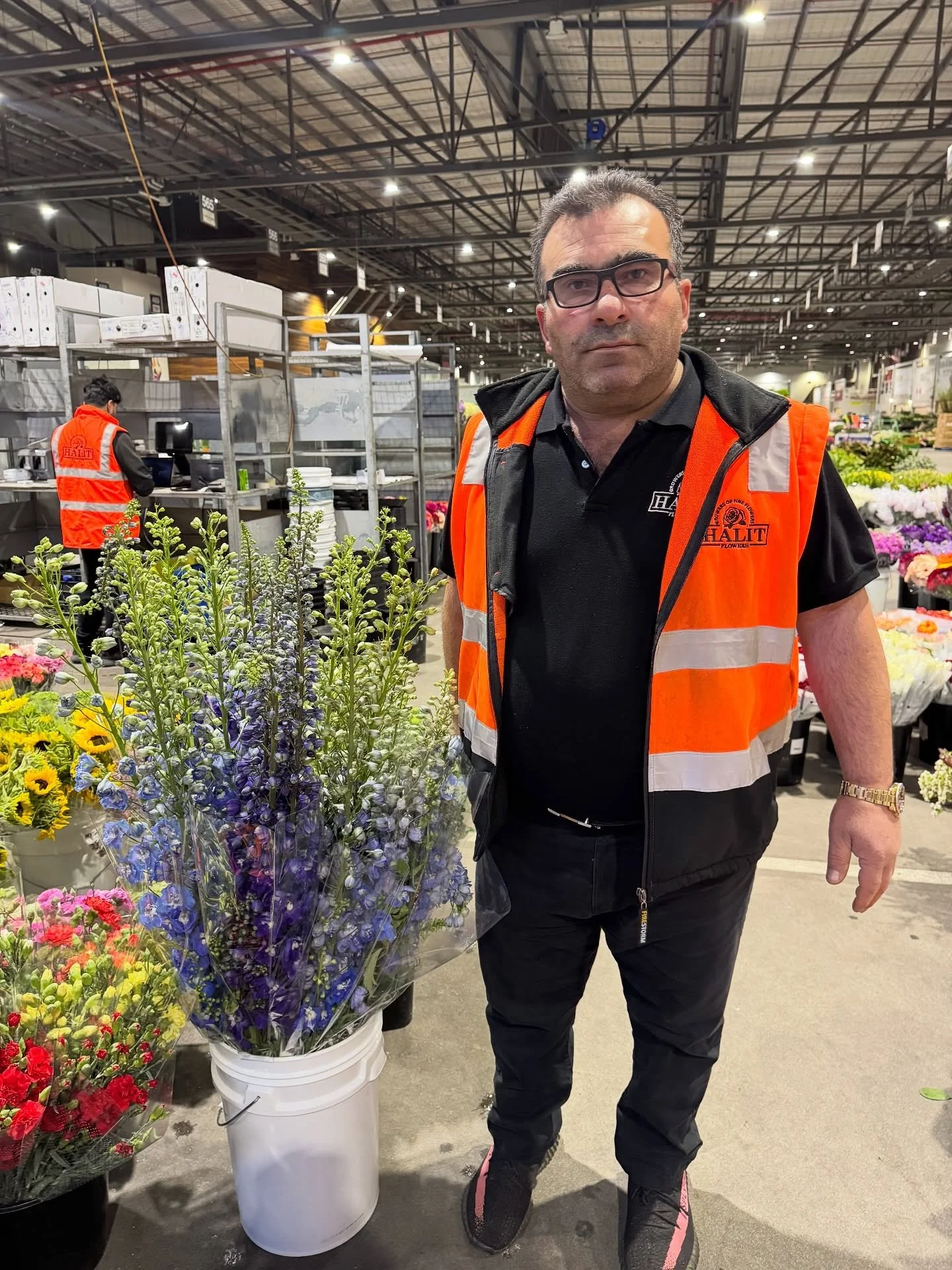 Pretty Delphiniums &amp; Fidrim 😂🙌🏼

#HalitFlowers #Flowers #Farm #Wholesale #Market
