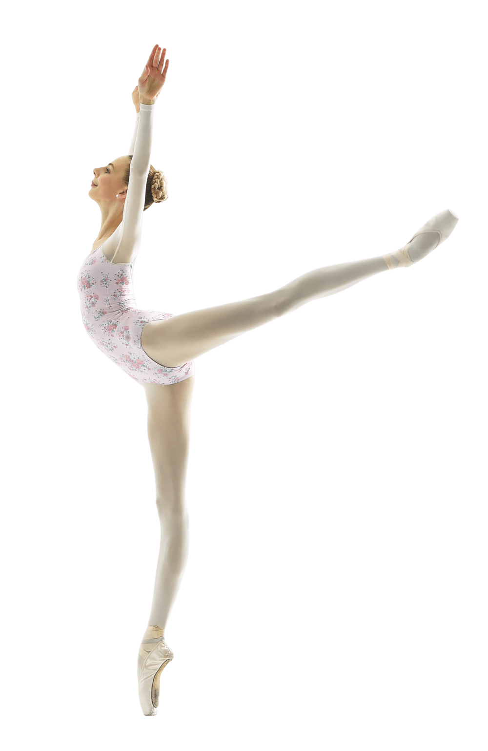 Training Classical Coaching Australia