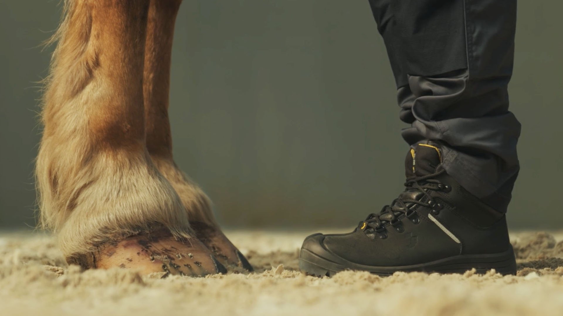 Safety Jogger: Workhorse