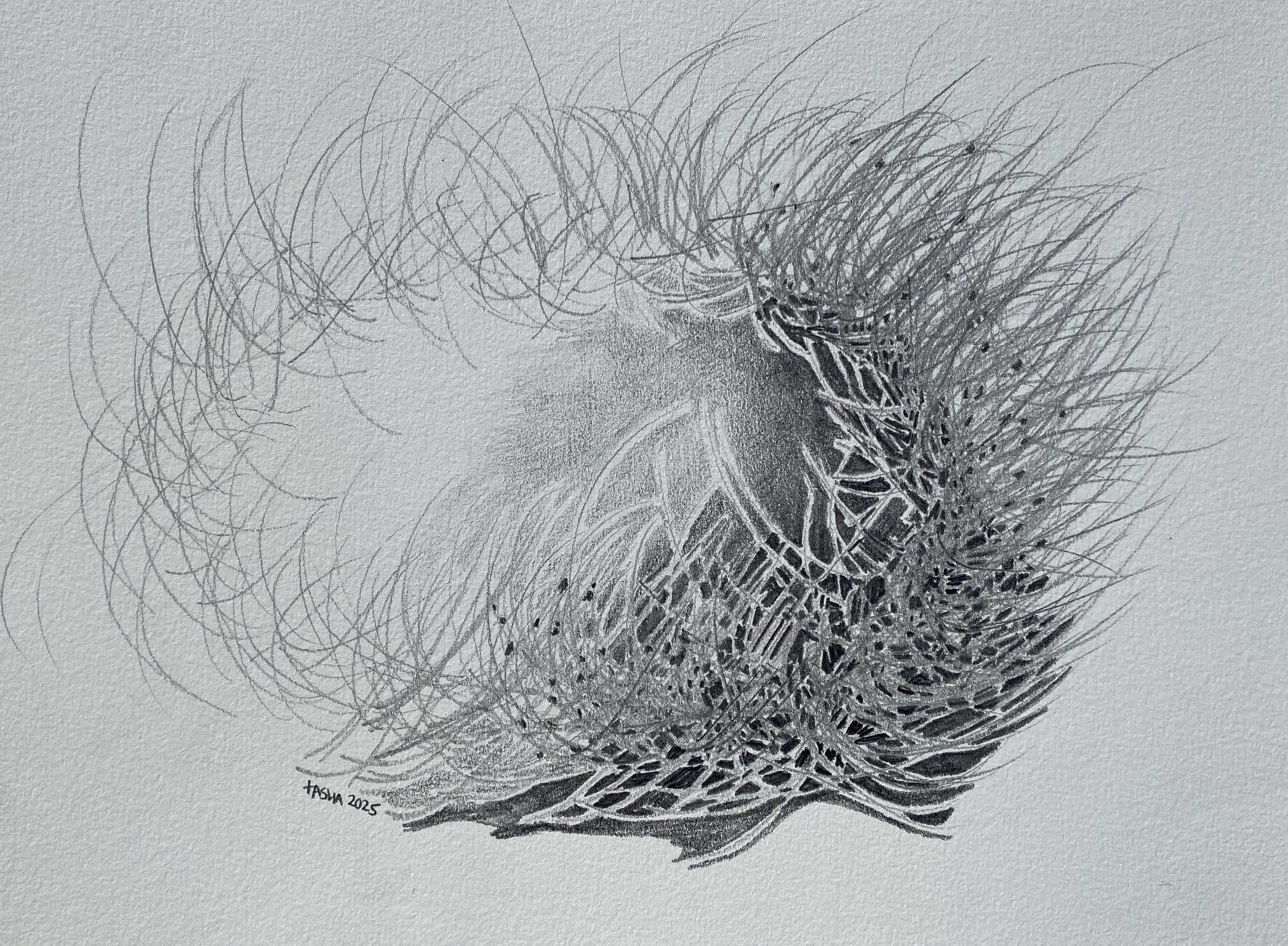 nest no. 7
pencil on paper
21 x 29cm
