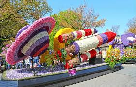 rondleiding bloemencorso
