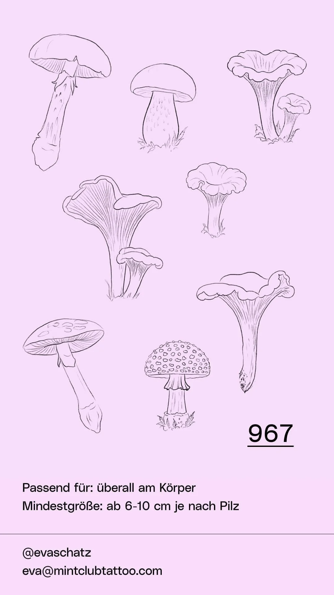 Flash-EvaSchatz-September-Oktober-967.jpg