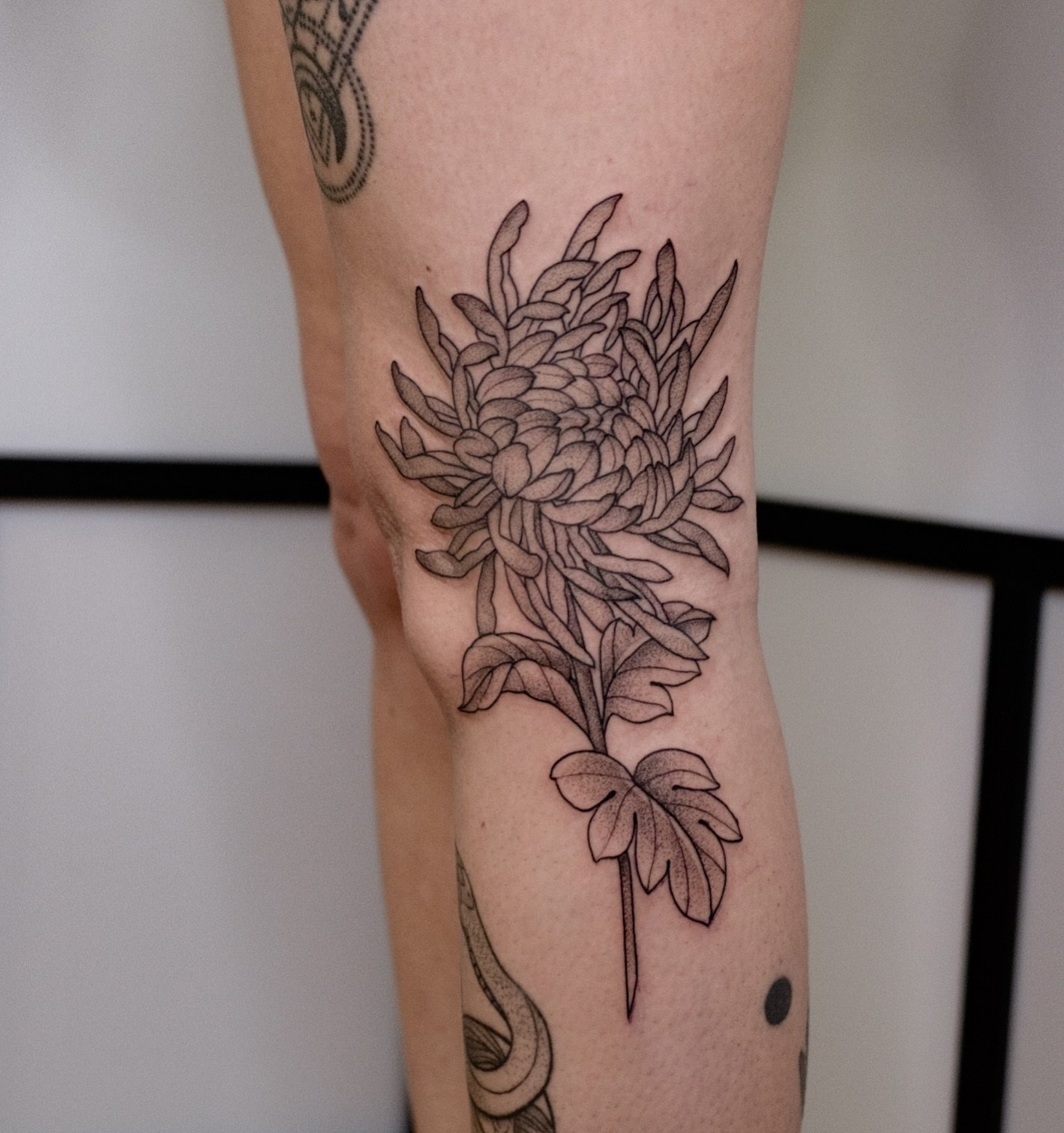 ✨ Eine Chrysantheme von meinen Flash-Designs f&uuml;r die liebe Katharina! ✨

#salzburgtattoo #viennatattoo #linztattoo #chrysantheme #kneesantheme #evaschatz #botanicaltattoo