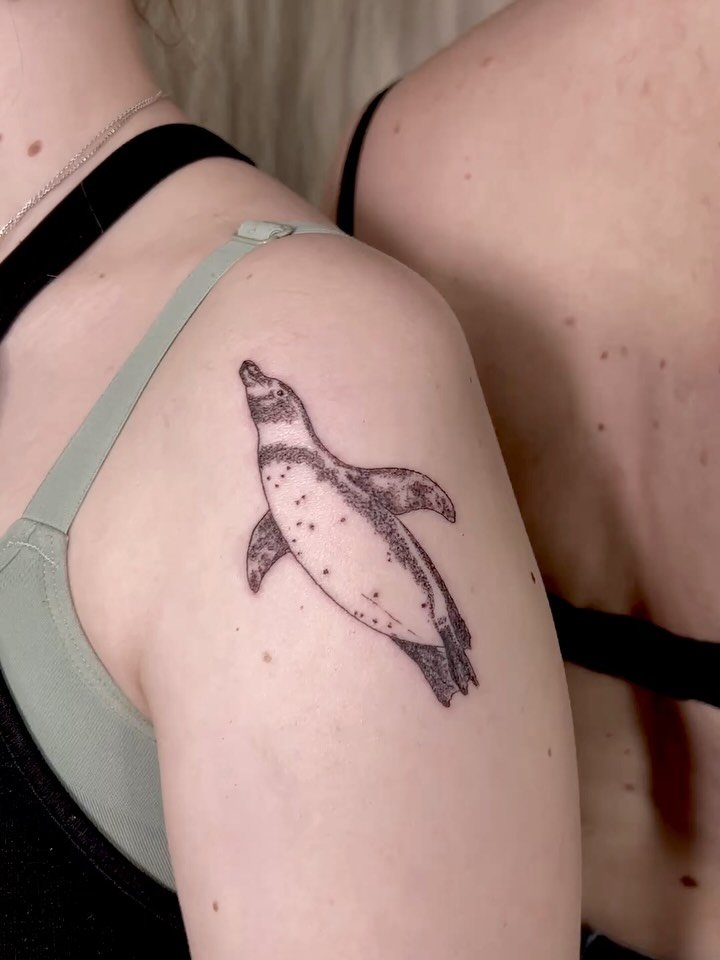 Gestern hab ich ein Mama-Tochter Pinguin-Tattoo gestochen! Was f&uuml;r eine s&uuml;&szlig;e Idee!

Habt ihr auch Freundschafts- oder Familientattoo-Ideen? Schreibt mir, ich freu mich drauf, sie zu t&auml;towieren!

#salzburgtattoo #penguintattoo #mi