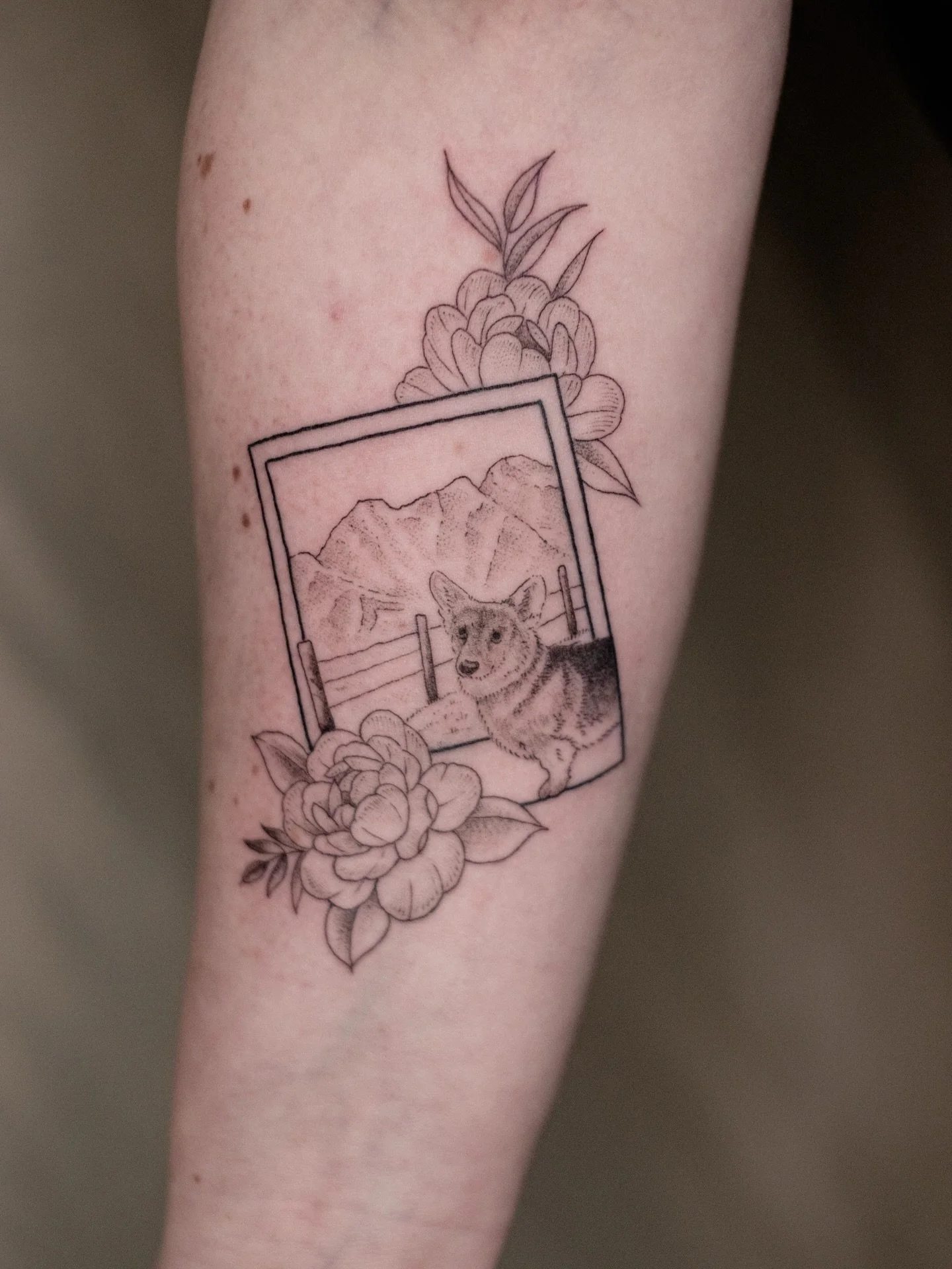 Corgi Nacho in den Bergen ✨ 
(Ich hab im April noch Termine f&uuml;r euch frei - schreibt mir jederzeit eine Mail, der Button ist direkt in meinem Profil ✌️)