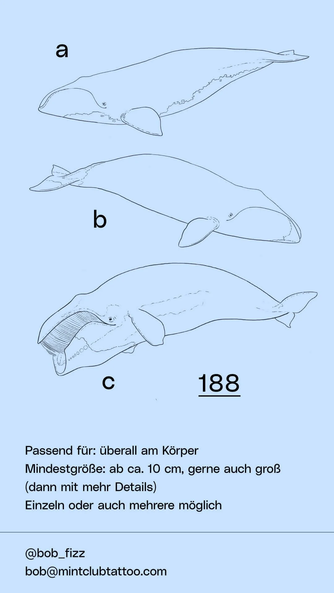 Flash-Bob Fizz-188.jpg