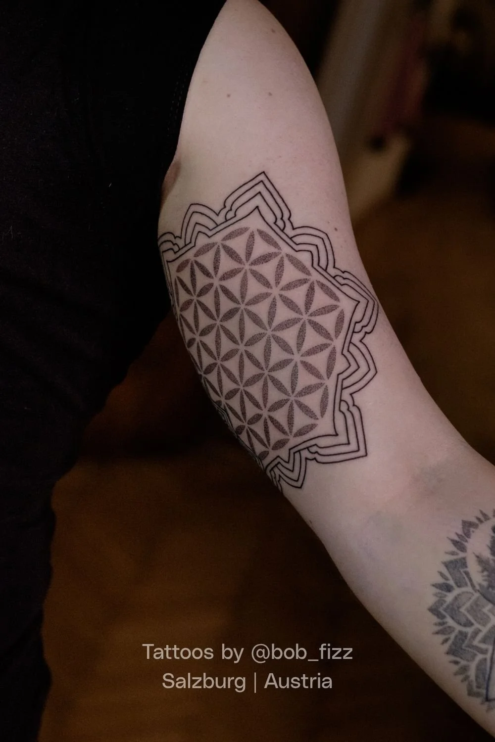 Bob Fizz Mint Club Tattoo 111.jpg