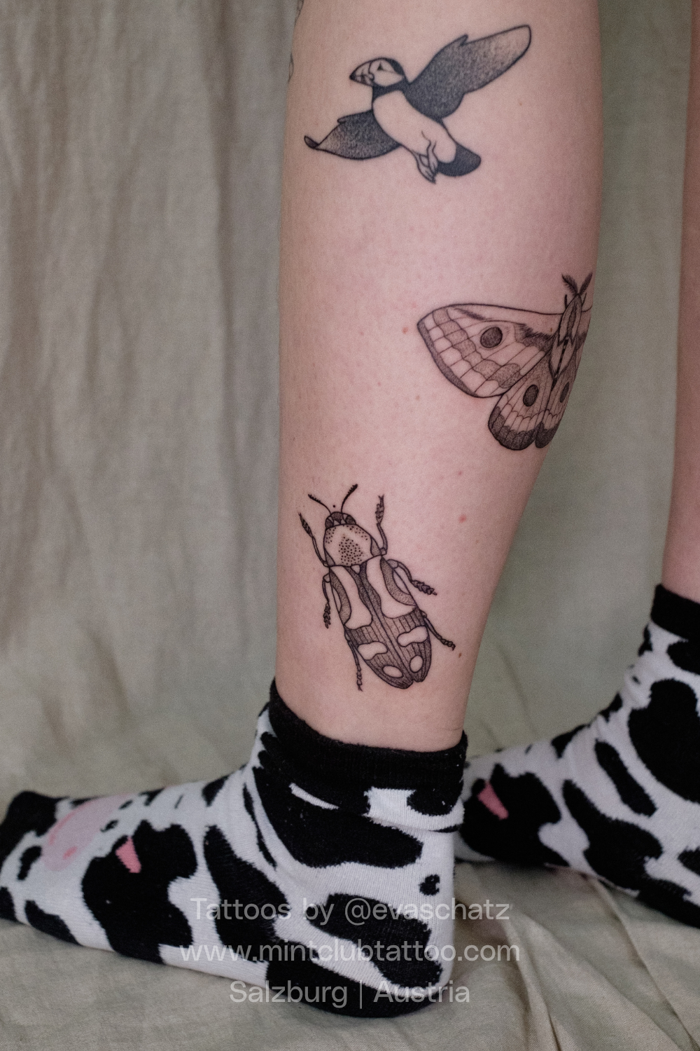 Eva Schatz Mint Club Tattoo 148.png