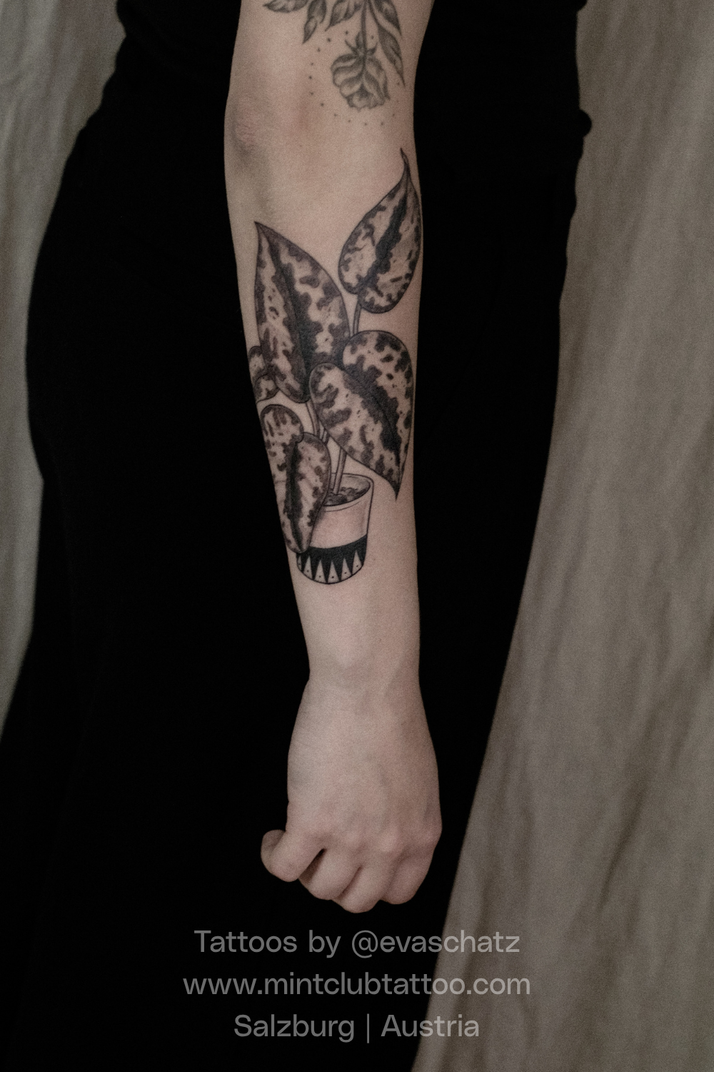 Eva Schatz Mint Club Tattoo 146.png