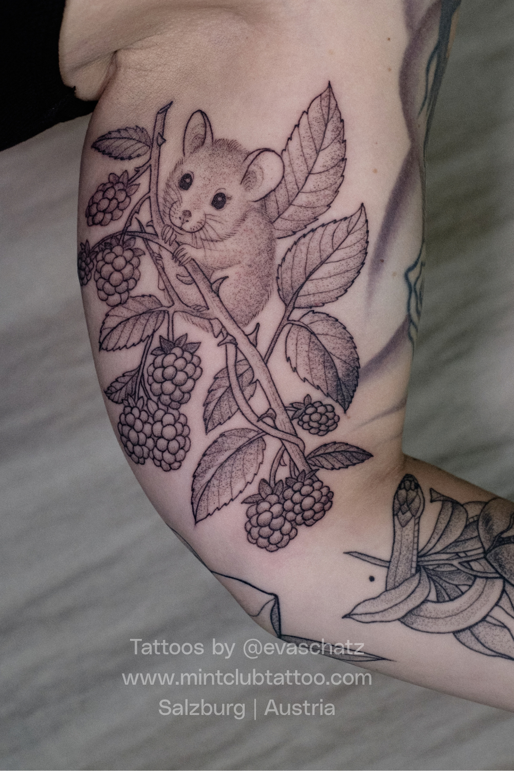 Eva Schatz Mint Club Tattoo 158.png