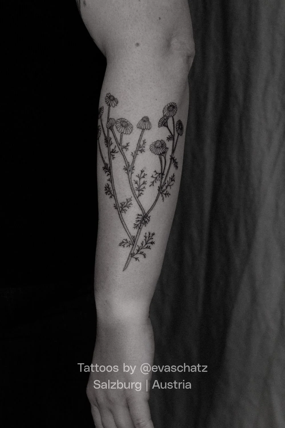 Eva Schatz Mint Club Tattoo 51.jpg
