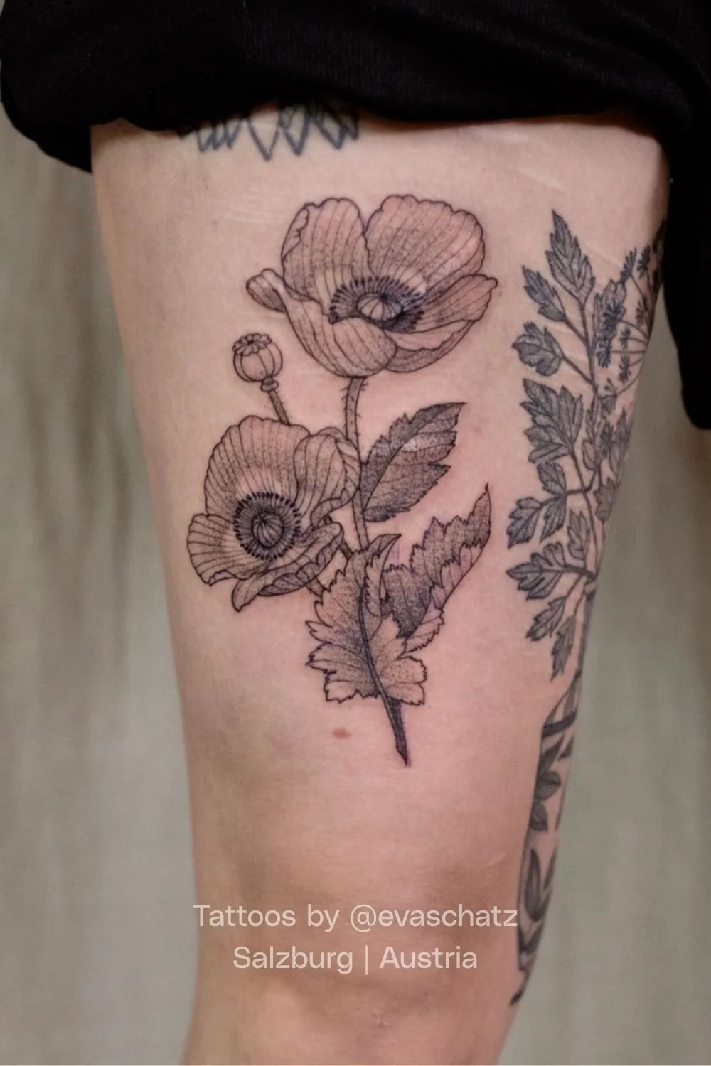 Eva Schatz Mint Club Tattoo 52.jpg