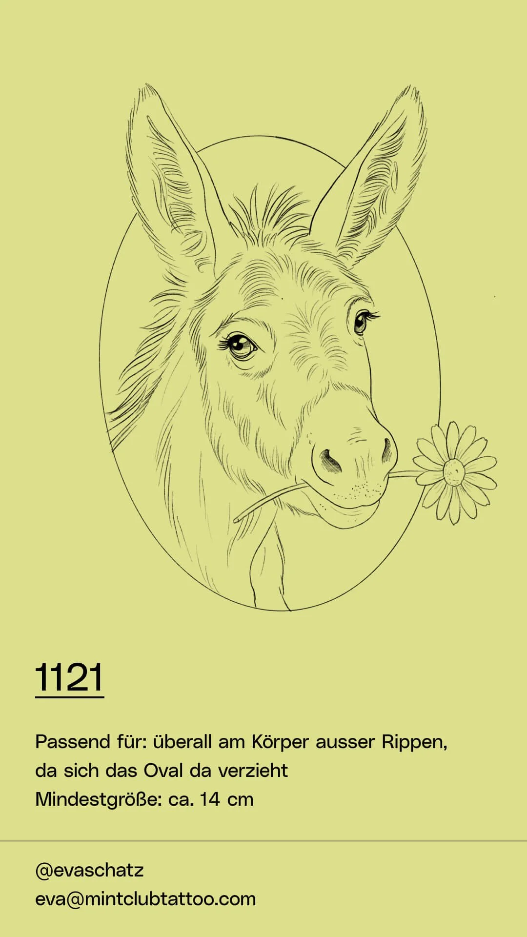Flash-EvaSchatz-November-Dezember-1121.jpg
