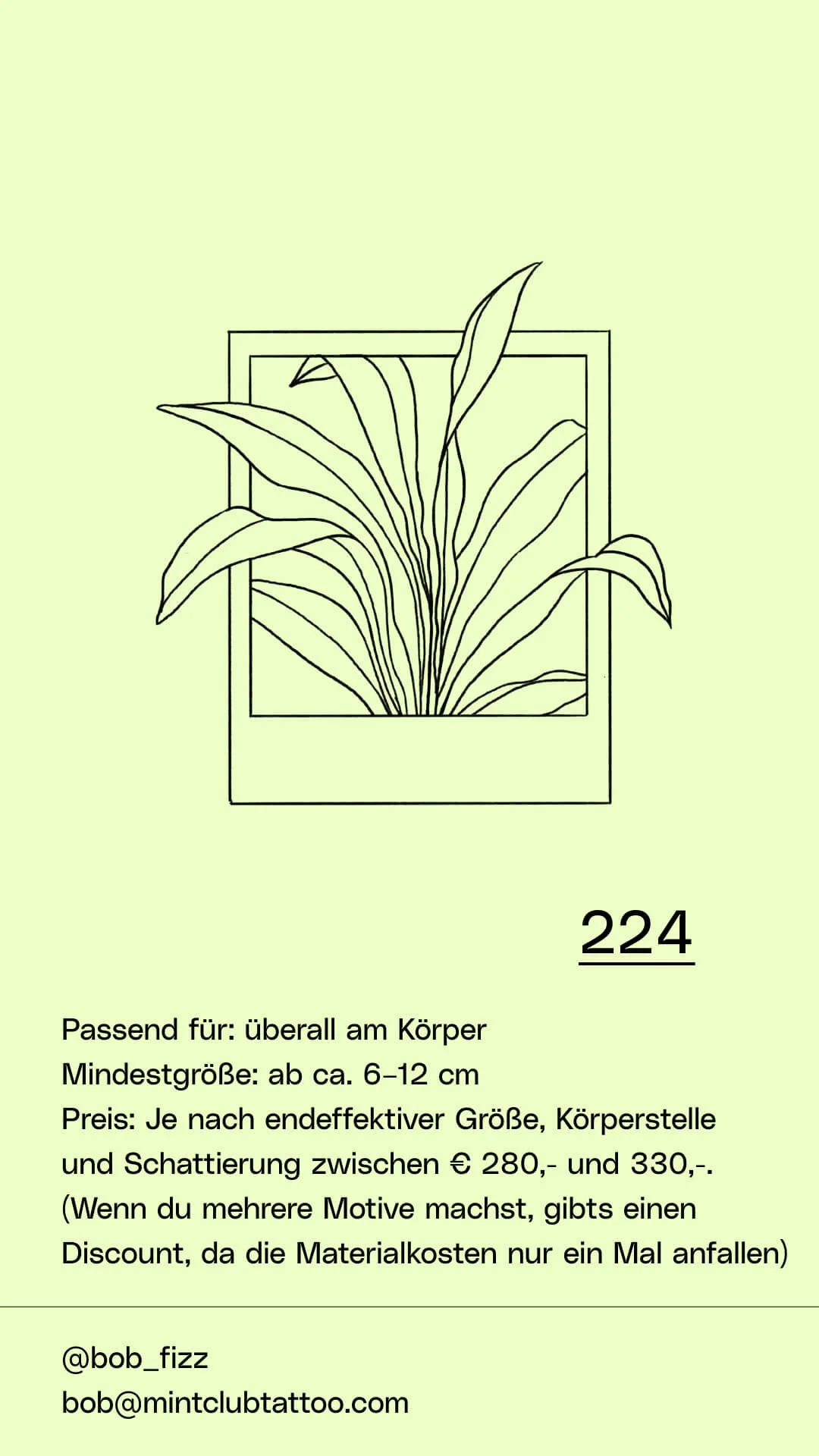 Flash-Bob Fizz-224.jpg