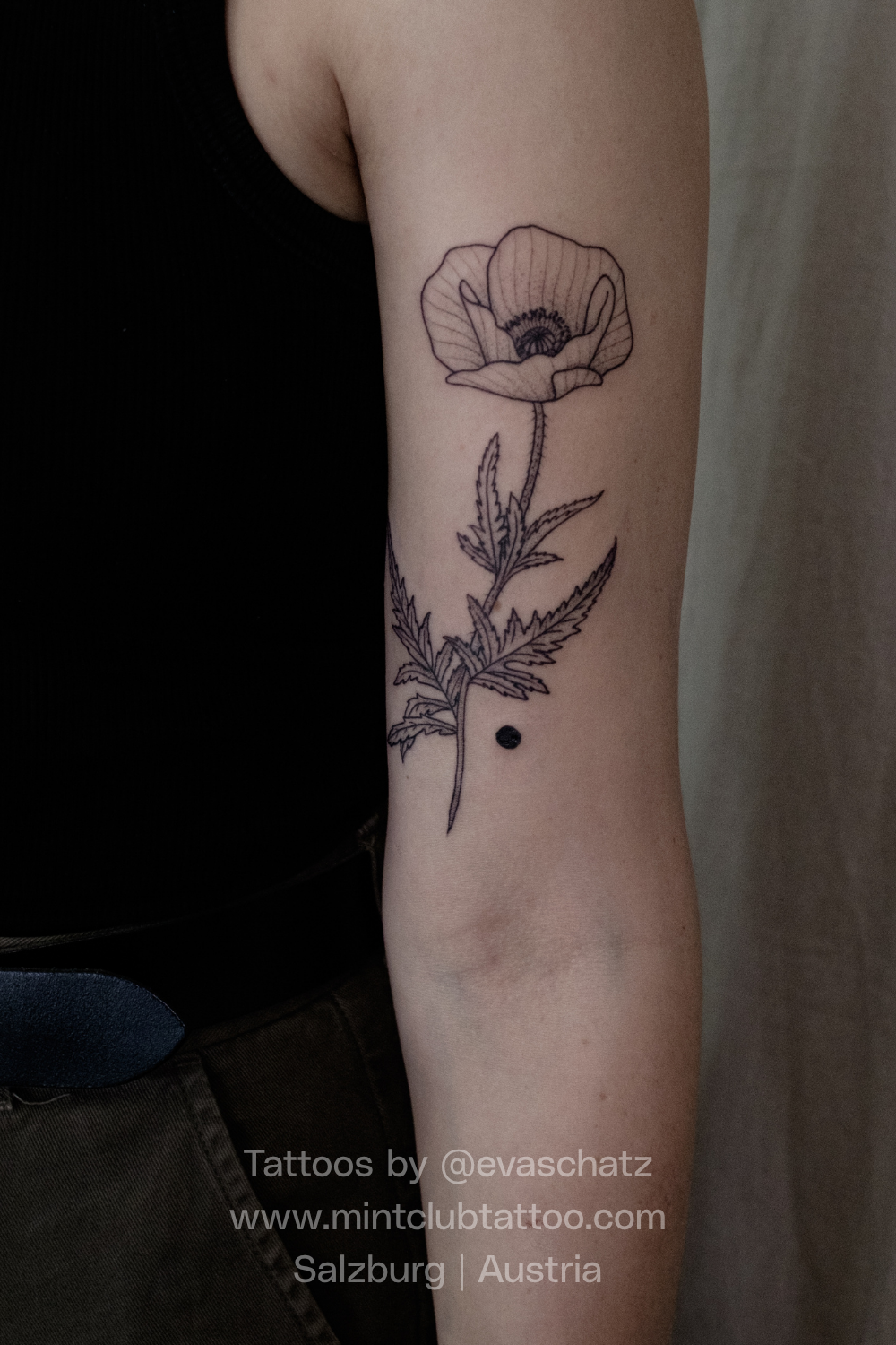 Eva Schatz Mint Club Tattoo 144.png