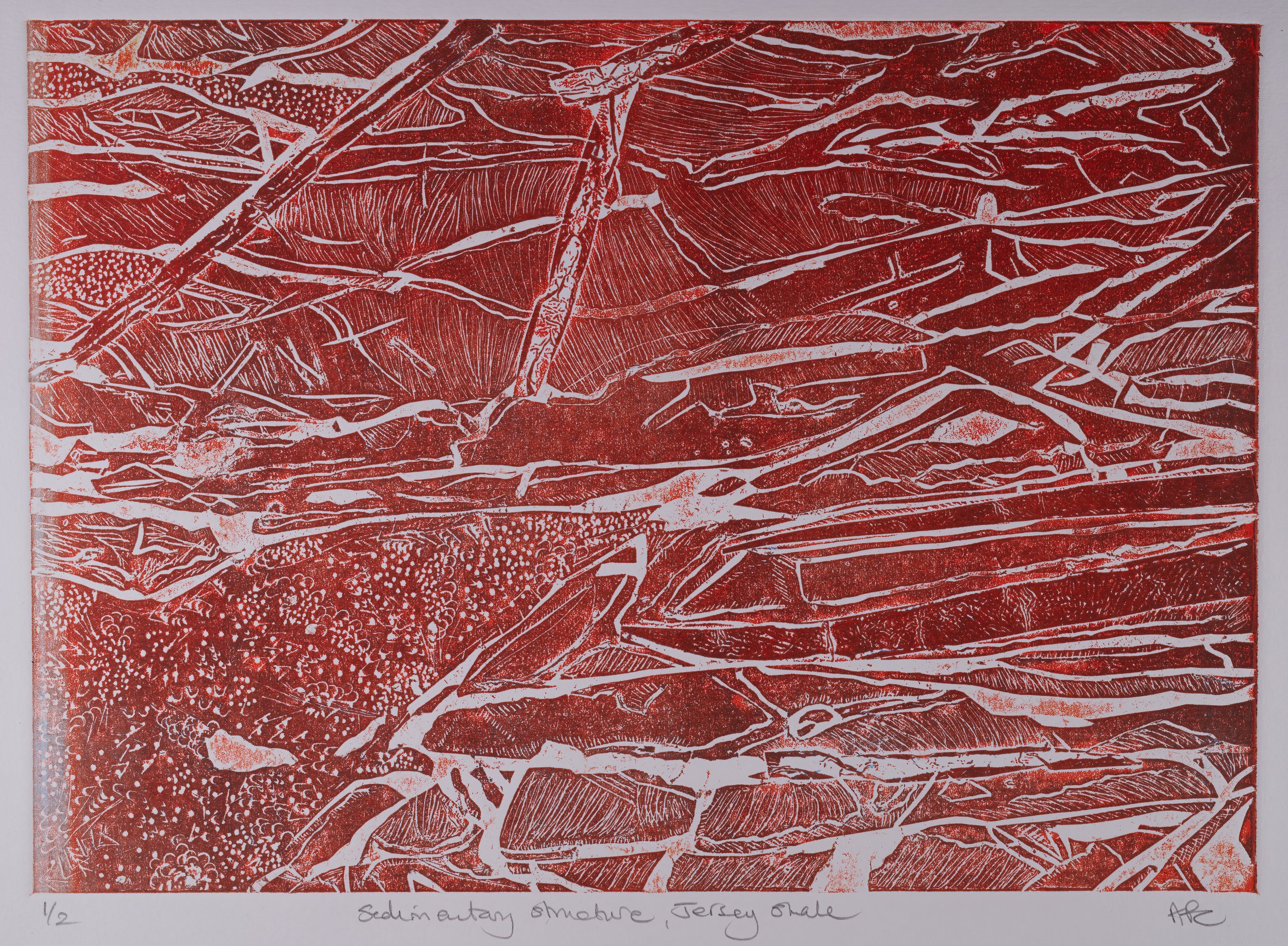 Sedimentary Shale, Anne Chowne.jpg