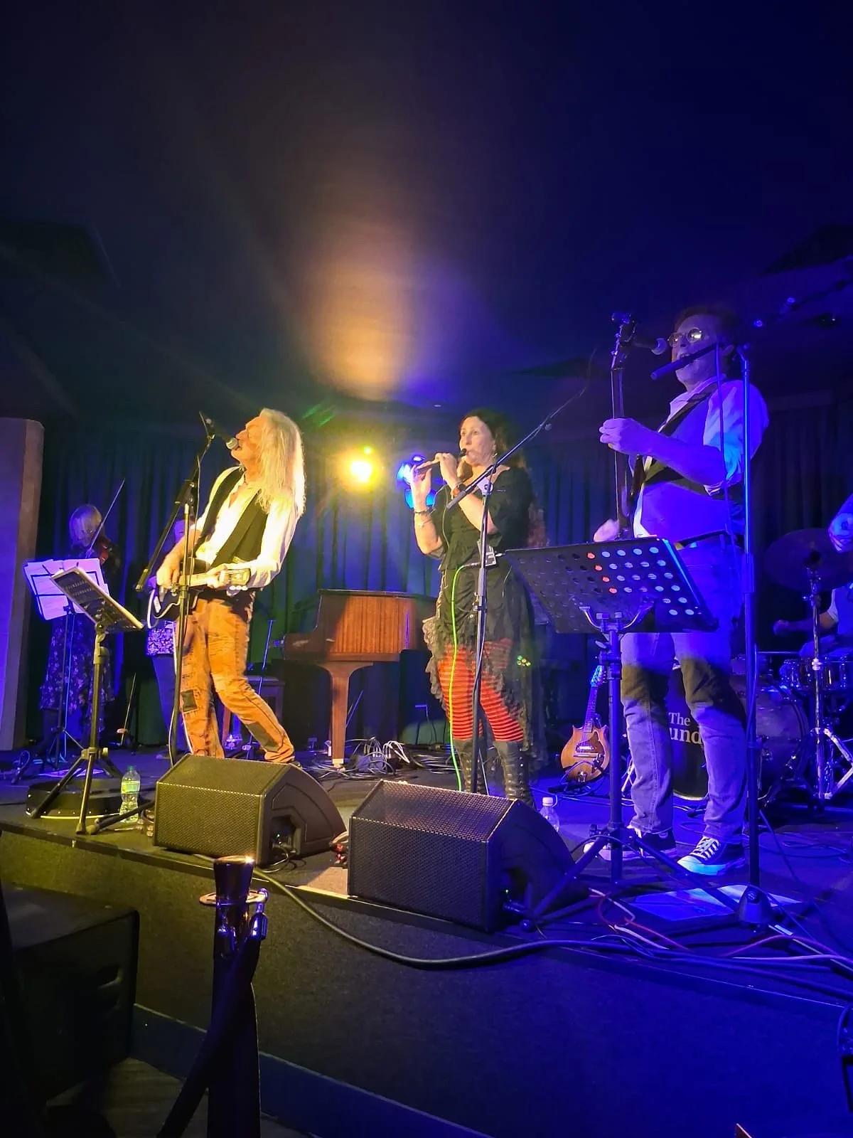 Gonzo Gypsy Goodtime Band.jpeg