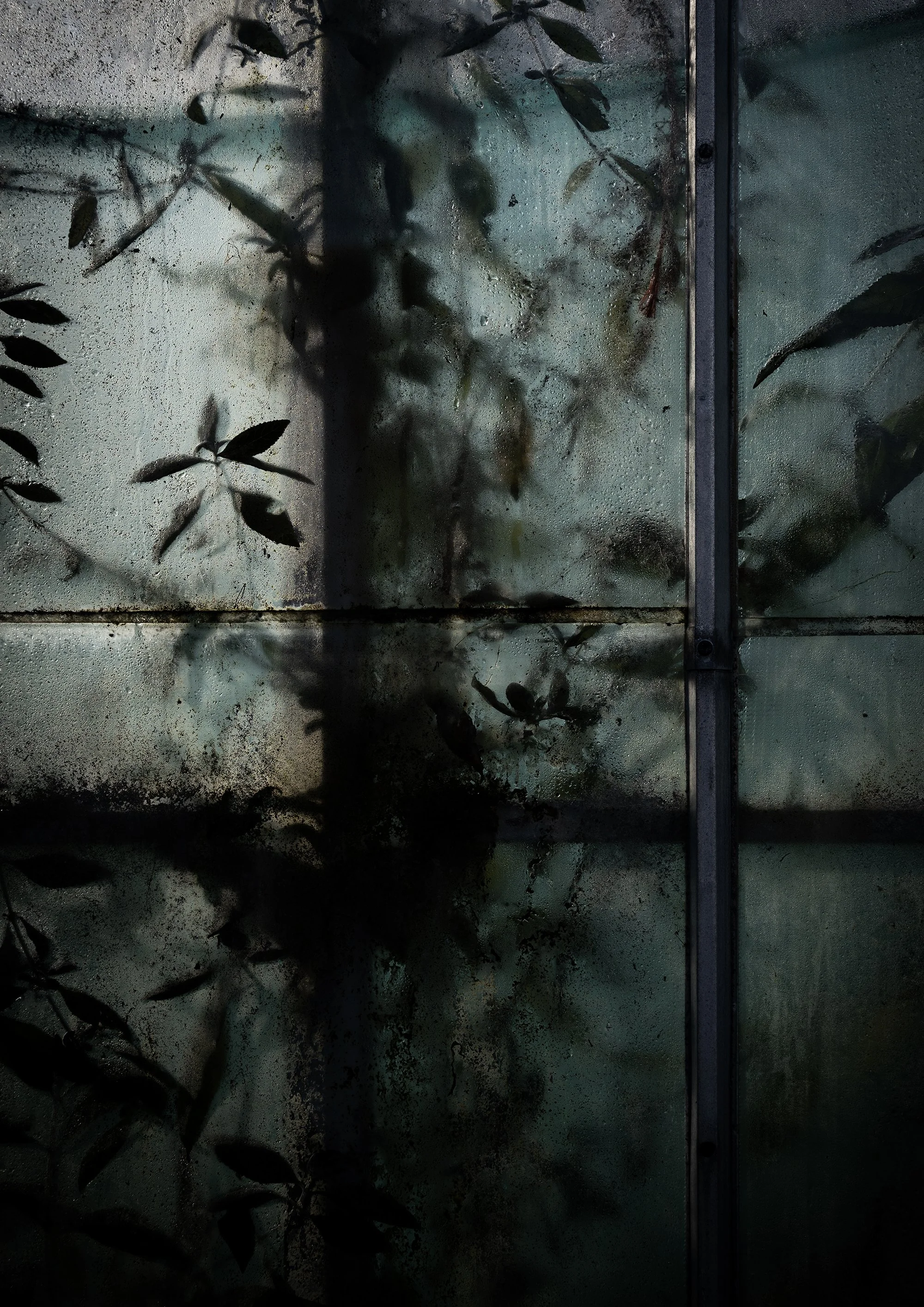 Copy of Helen Glencross (old) Behind Glass 2.jpg