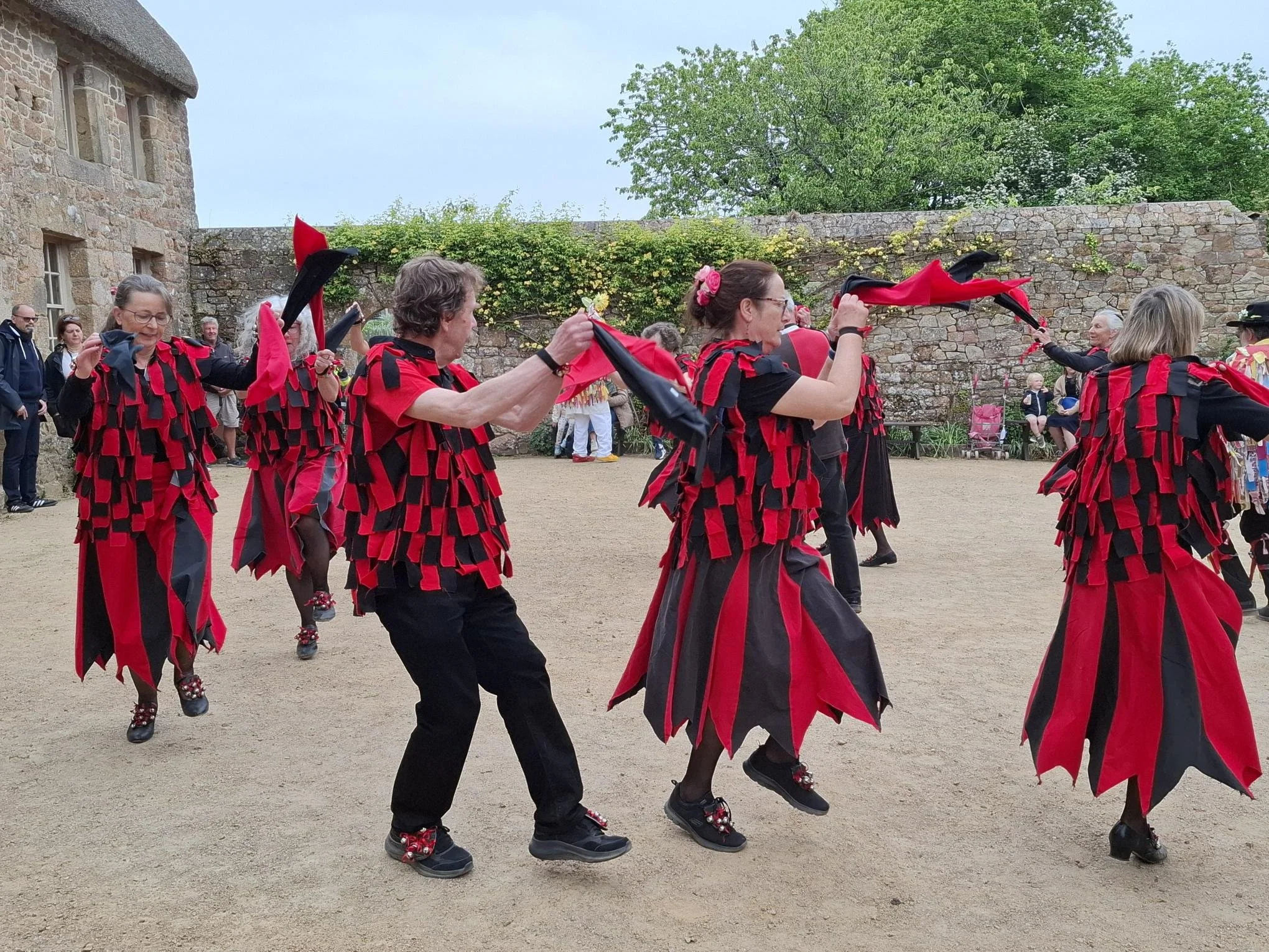 Give it a Whirl with the Jersey Lilies Mixed Morris