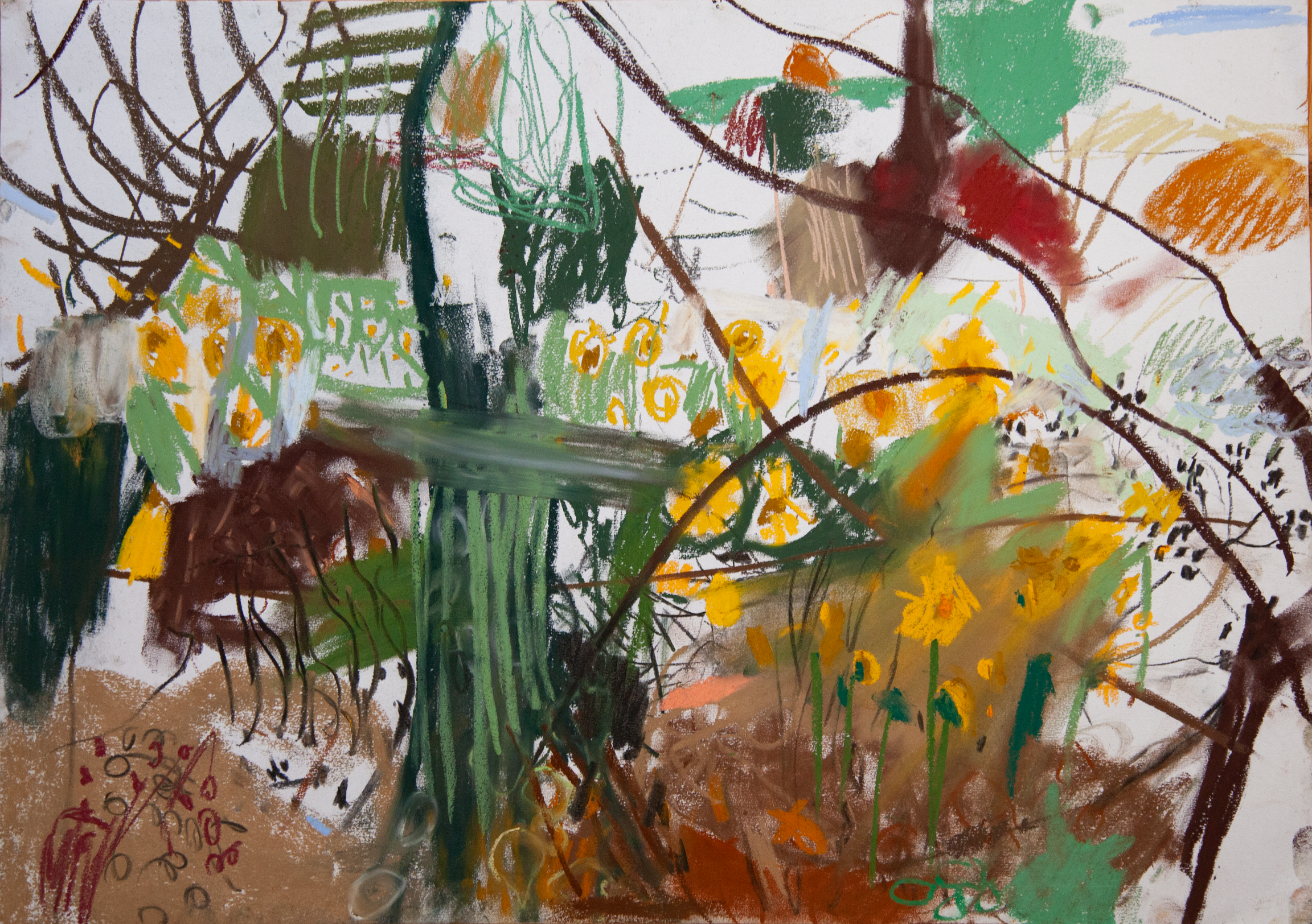 Pop Up Exhibition: Sophia Bourne, Francesca Warner, Christine Finn&nbsp;