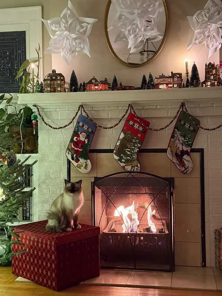 Seal Mitted Boy Fireplace.webp