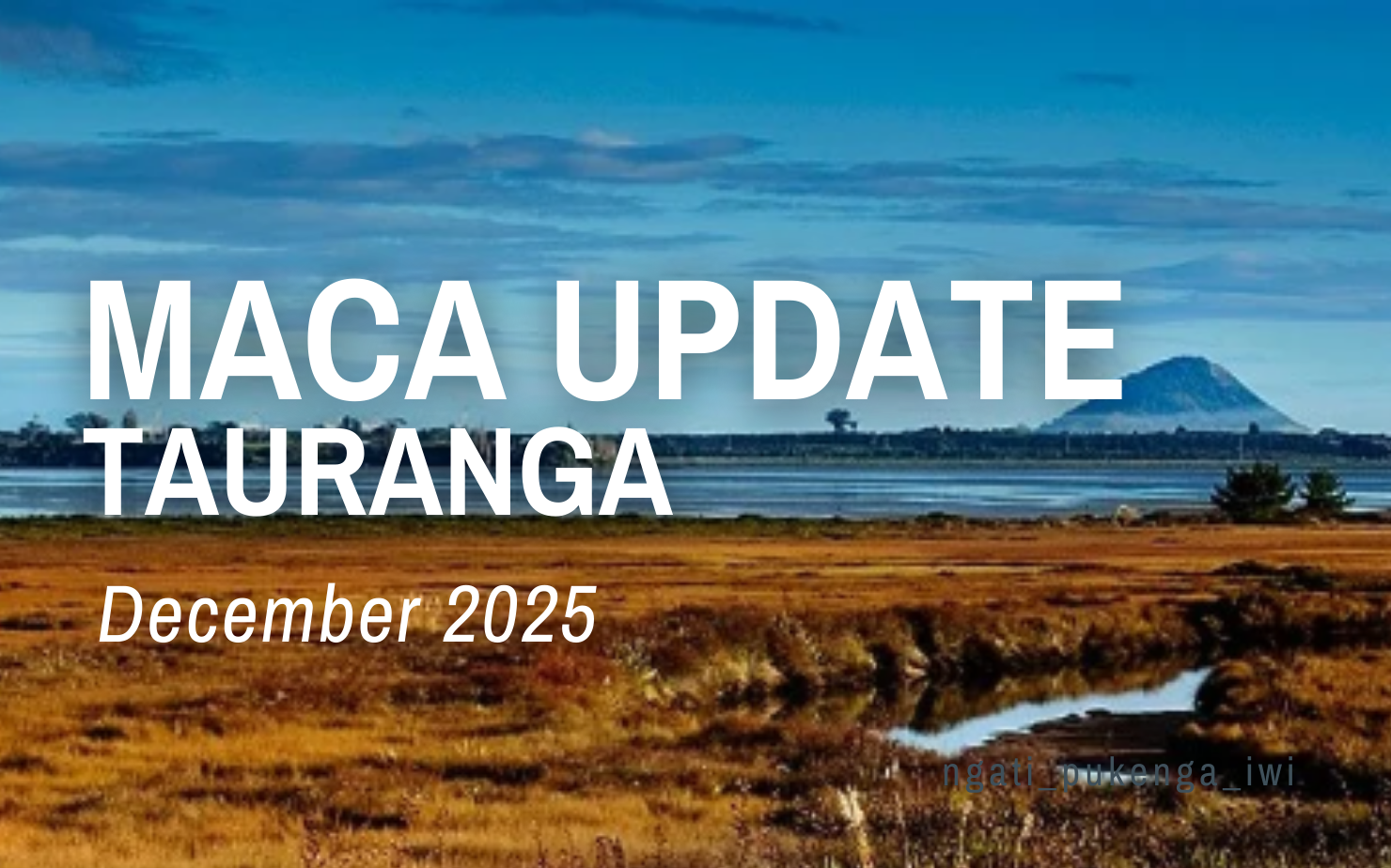 MACA | Tauranga Update