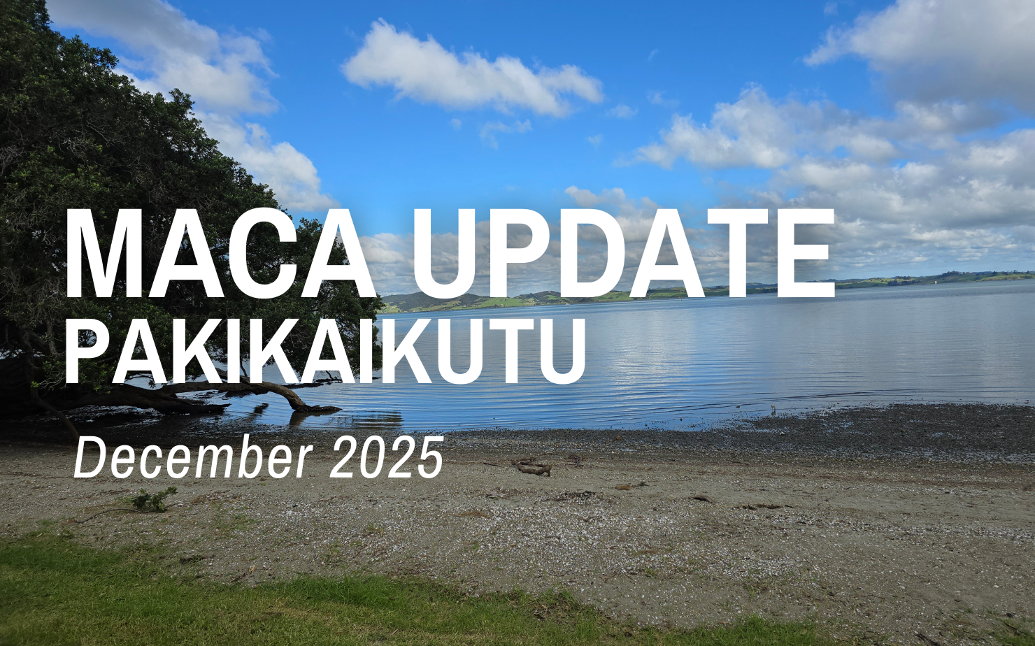 MACA | Pakikaikutu Update