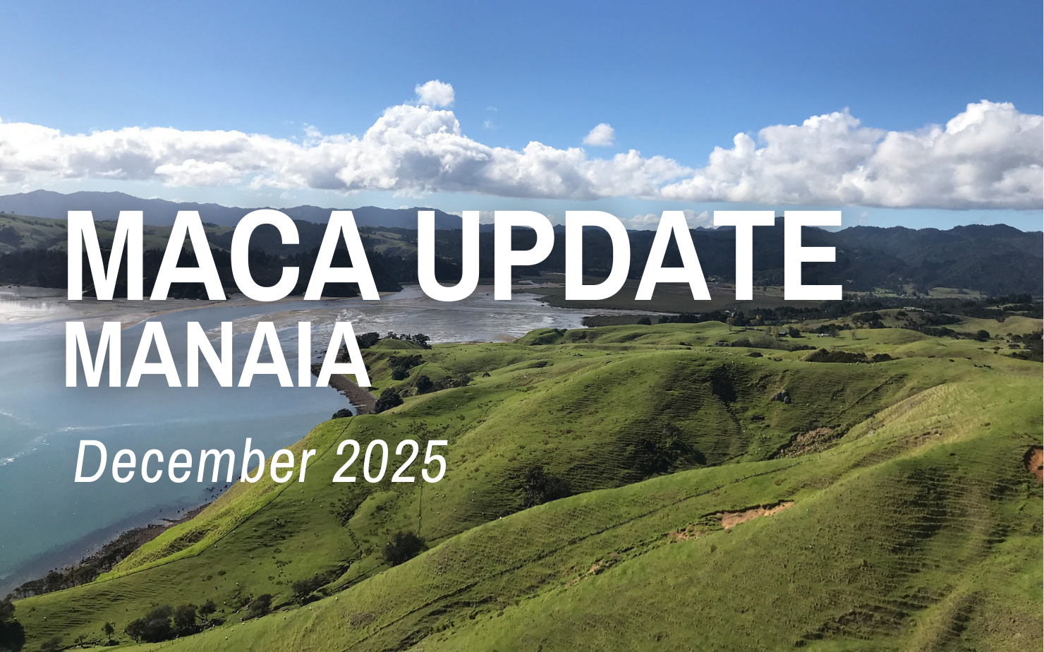 MACA | Manaia Update