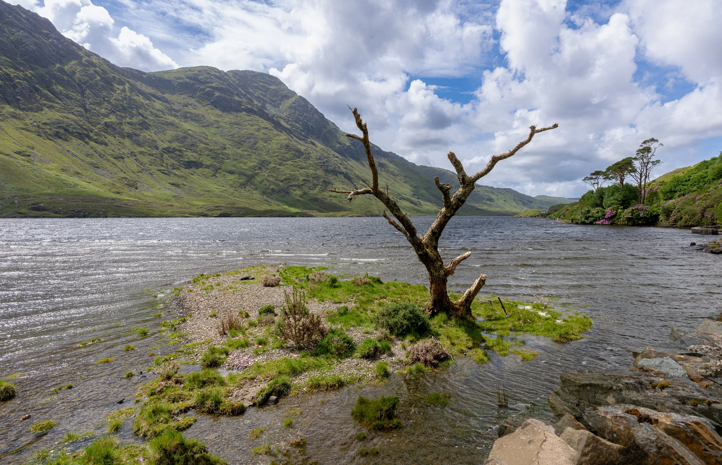_DSC1094-Panorama.jpg