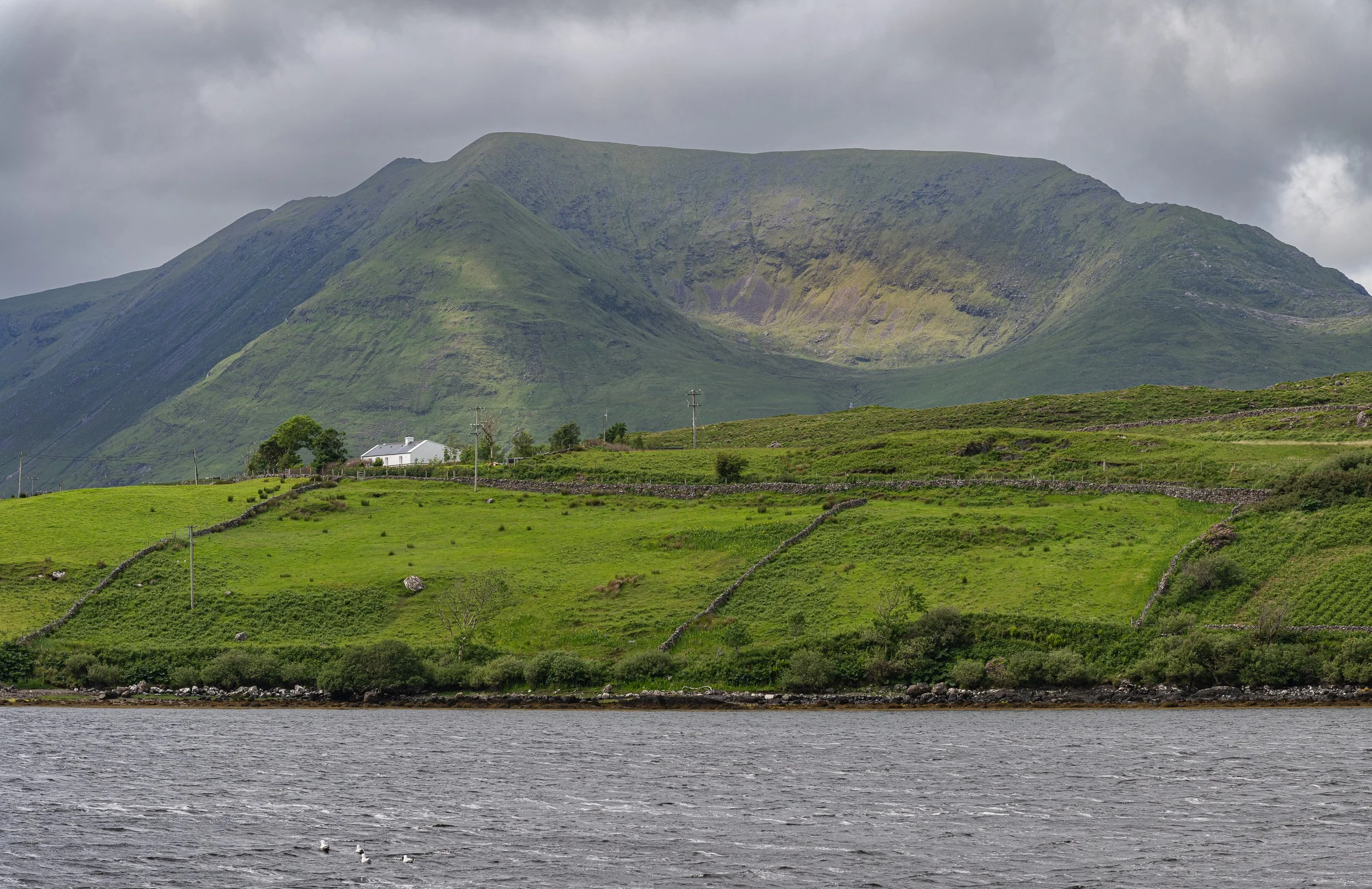 _DSC1208.jpg
