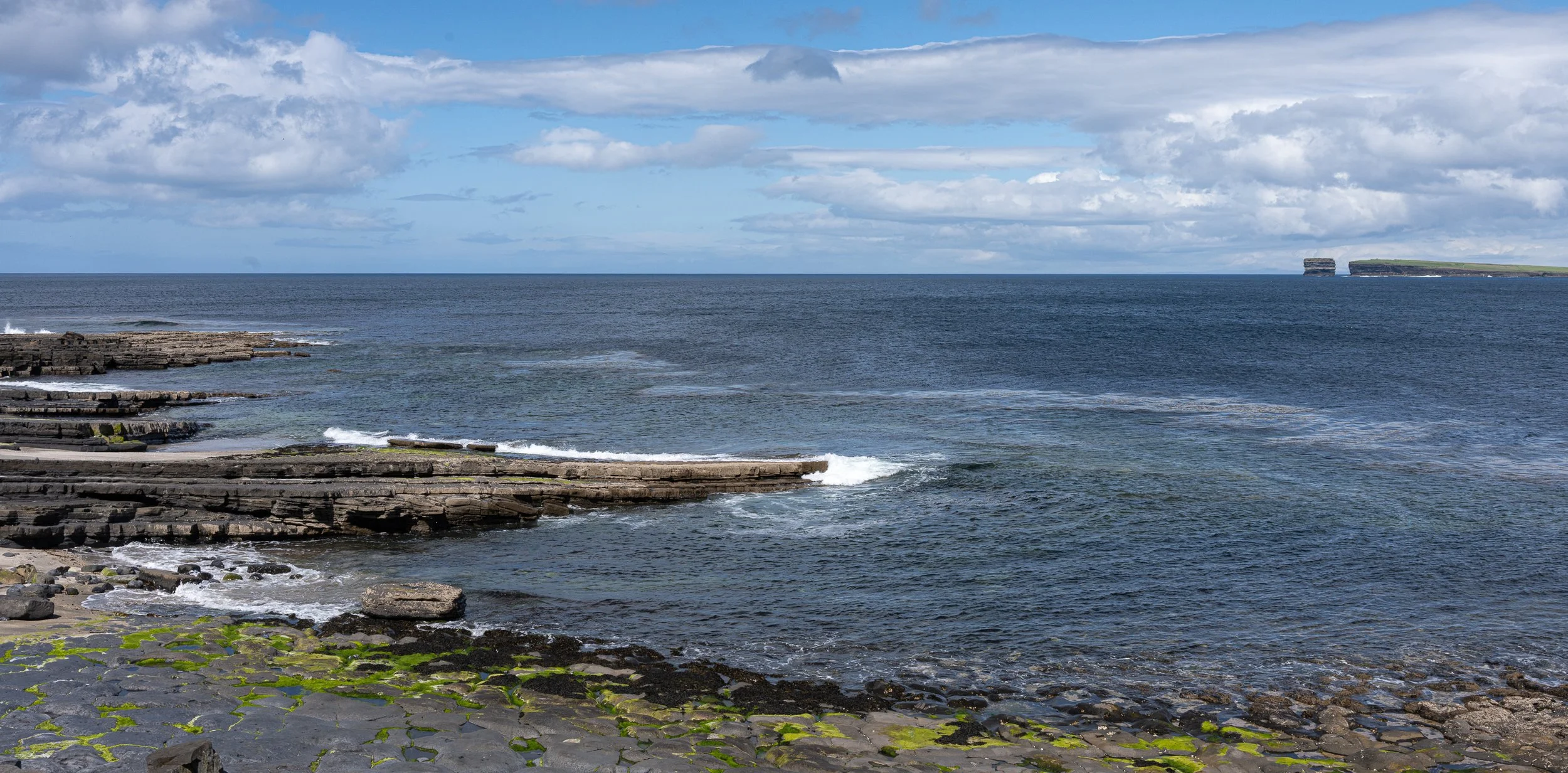 _DSC0572.jpg