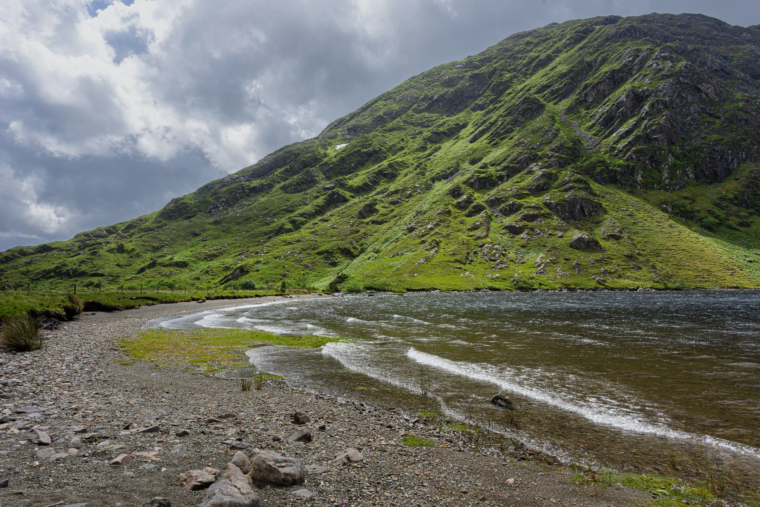 _DSC1072.jpg
