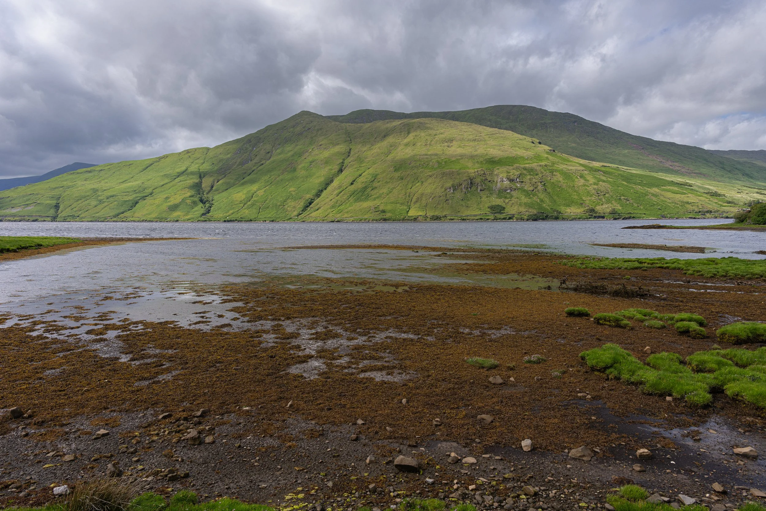 _DSC1210.jpg