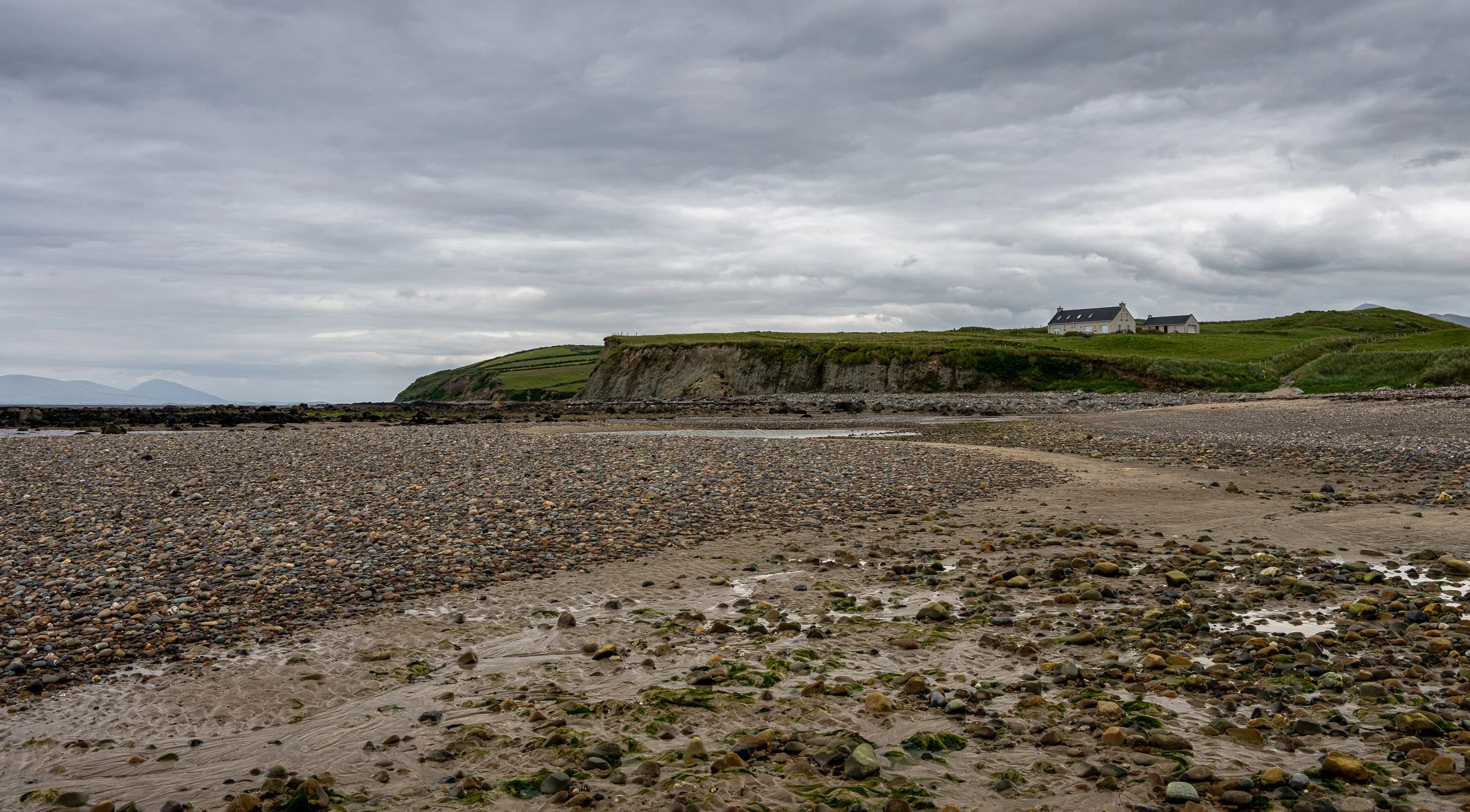 _DSC1458.jpg