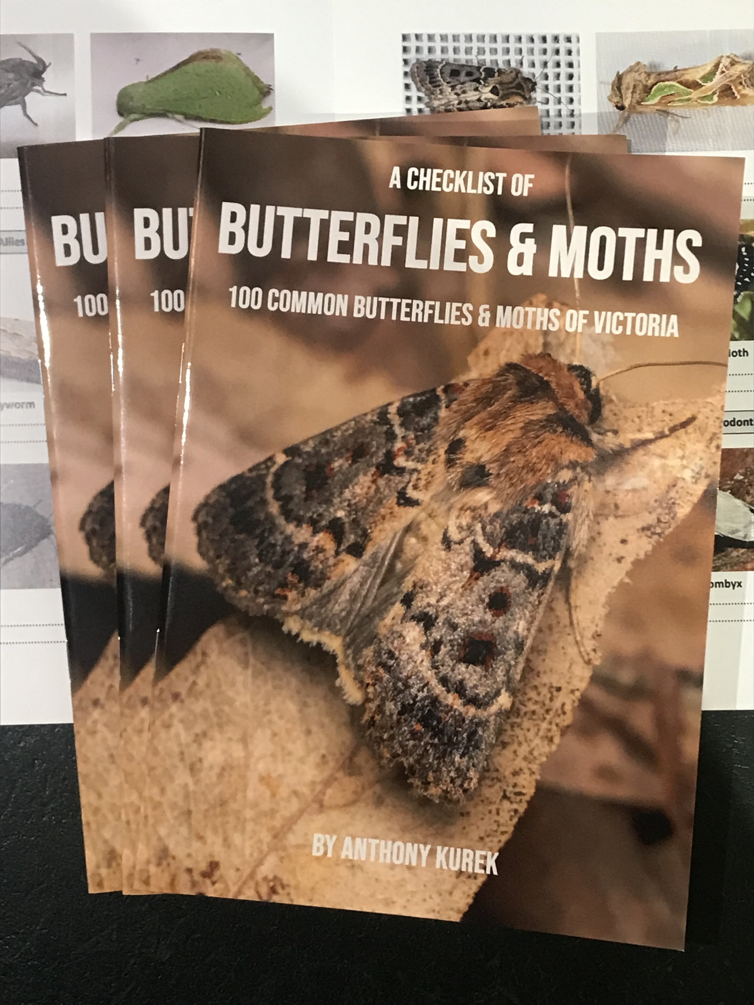 A Checklist of Butterflies & Moths (Bulk Orders - 20+ copies)