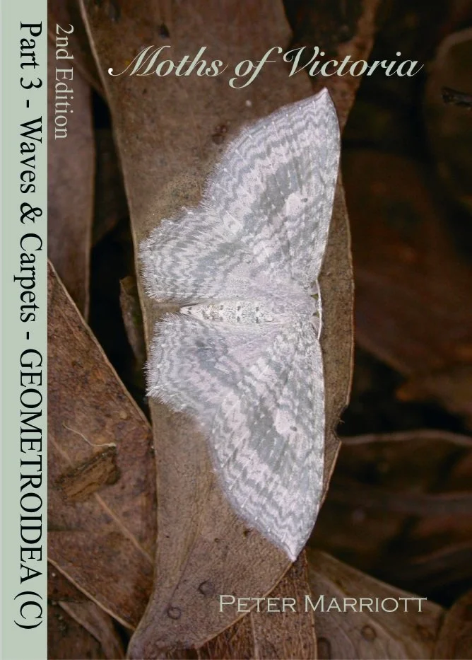 Moths of Victoria Part 3 - Waves & Carpets (2nd Ed)