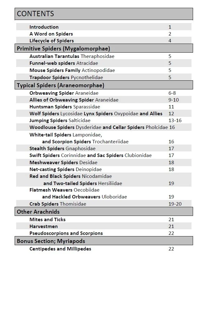 100 Common Spiders - Contents.jpg