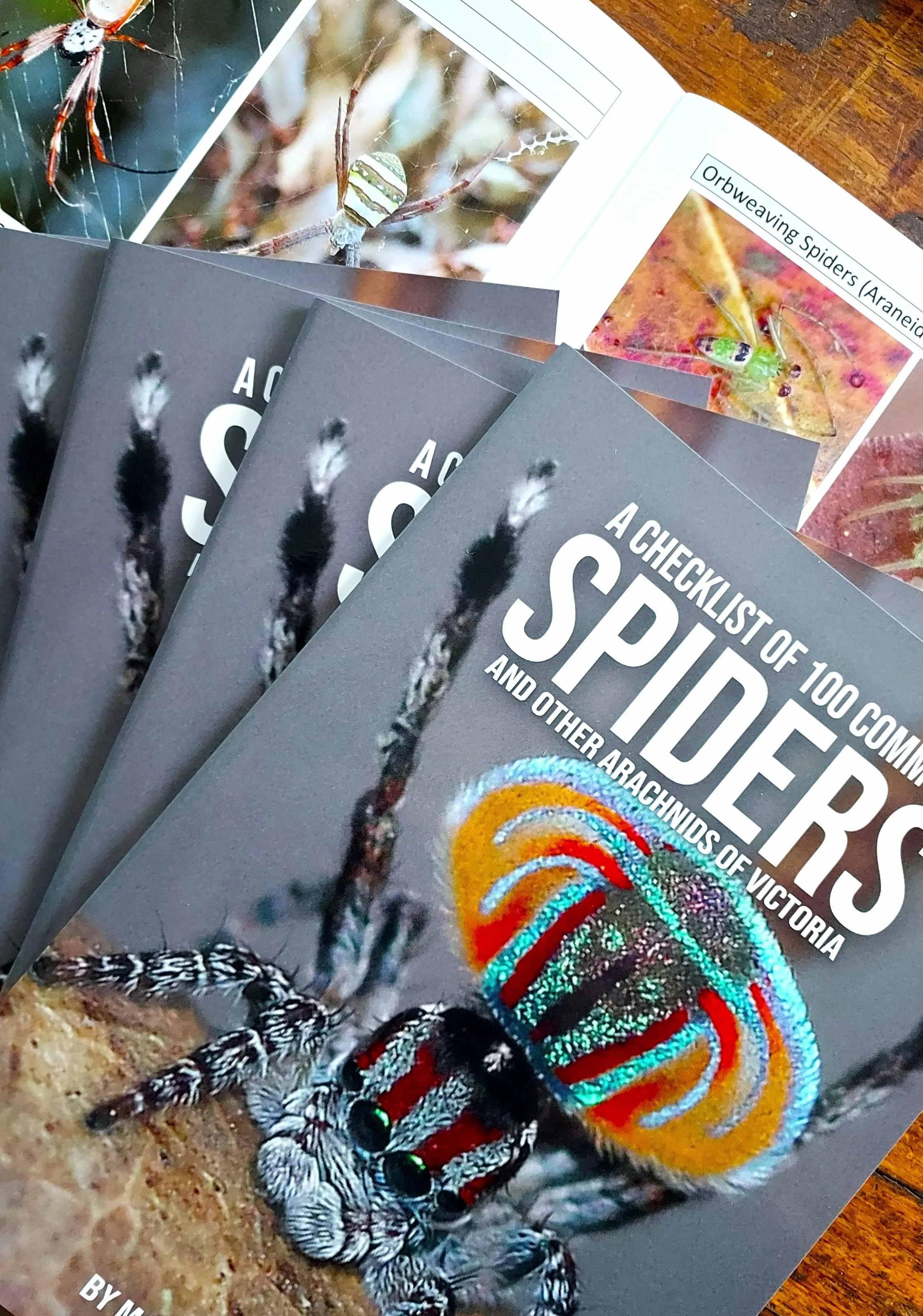 100 Common Spiders - Bulk Order Cover.jpg
