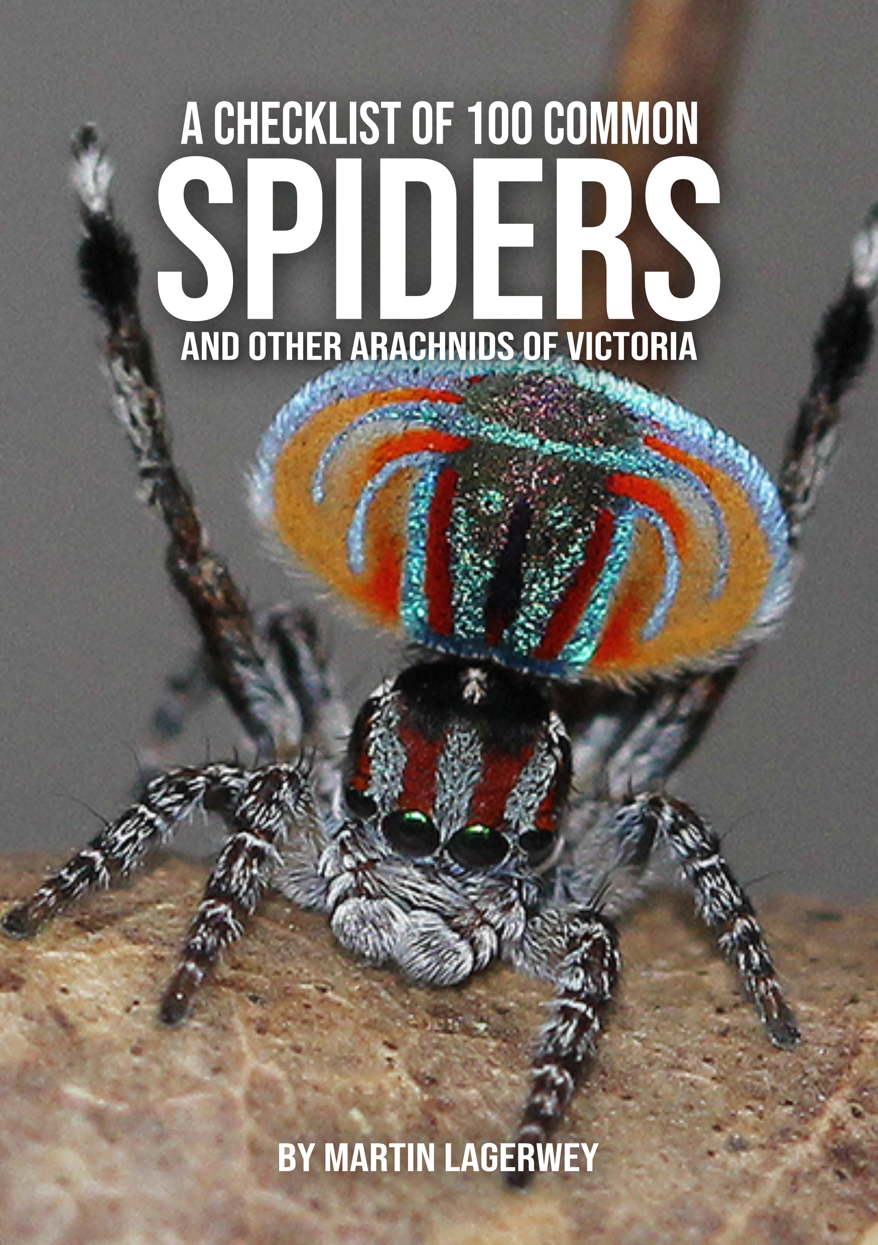 100 Spiders Cover.png