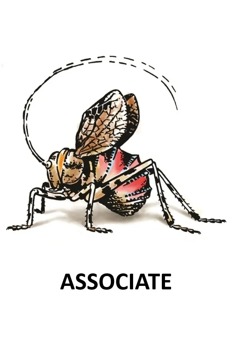 Membership - Associate