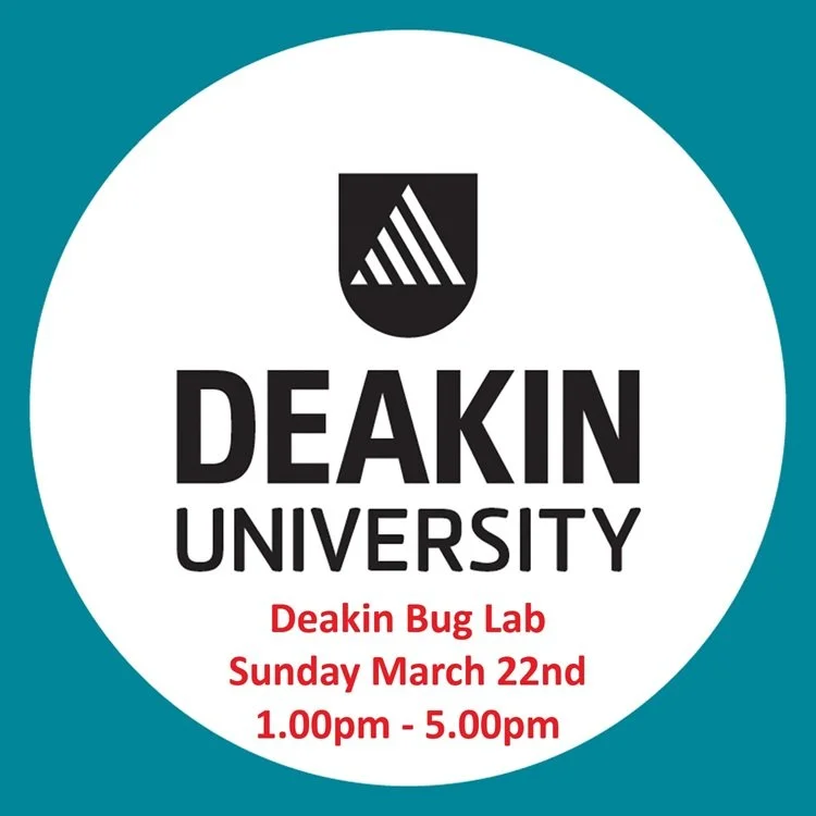 2026-03 - Deakin Bug Lab.jpg