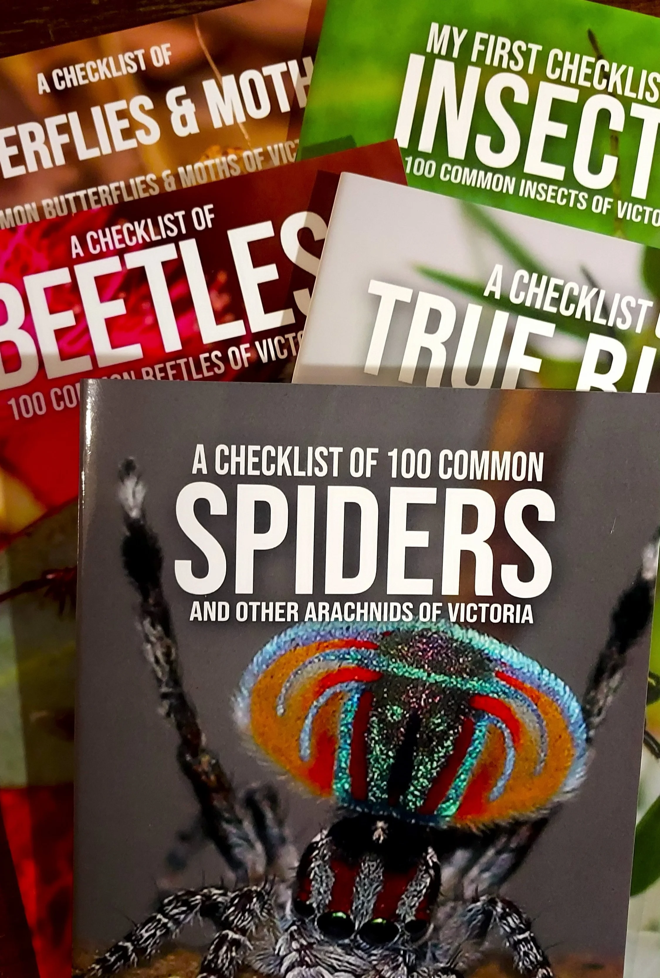 100 Insects Set of 5.jpg